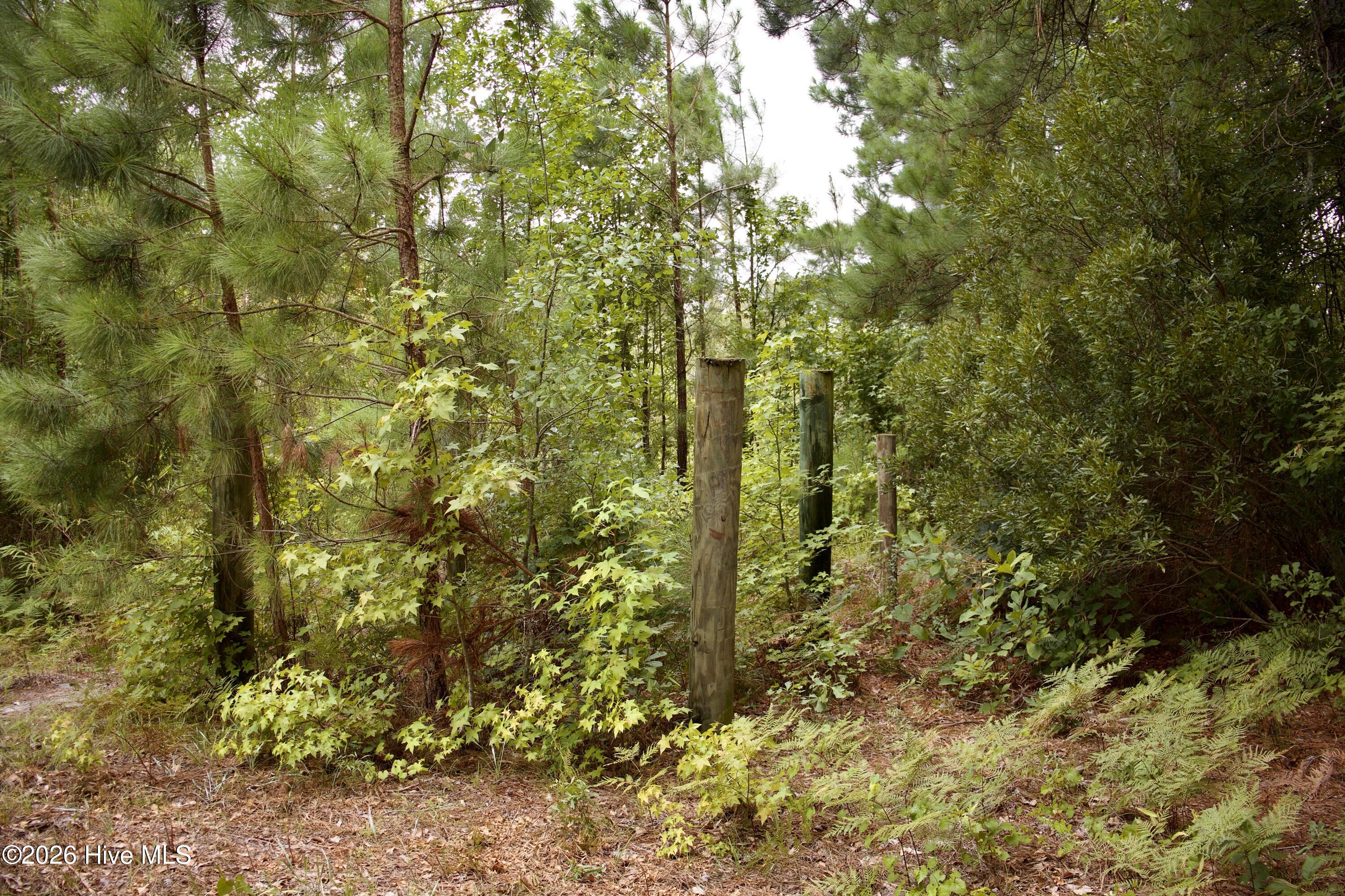 385 Sand Ridge Road,New Bern