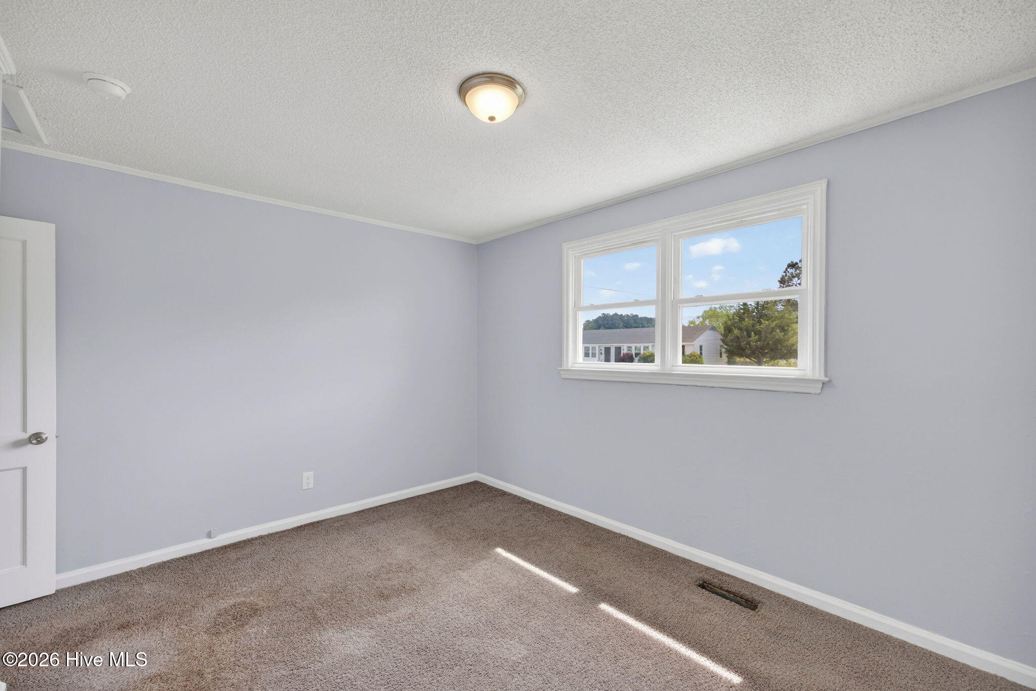 100567273 | Photo 38