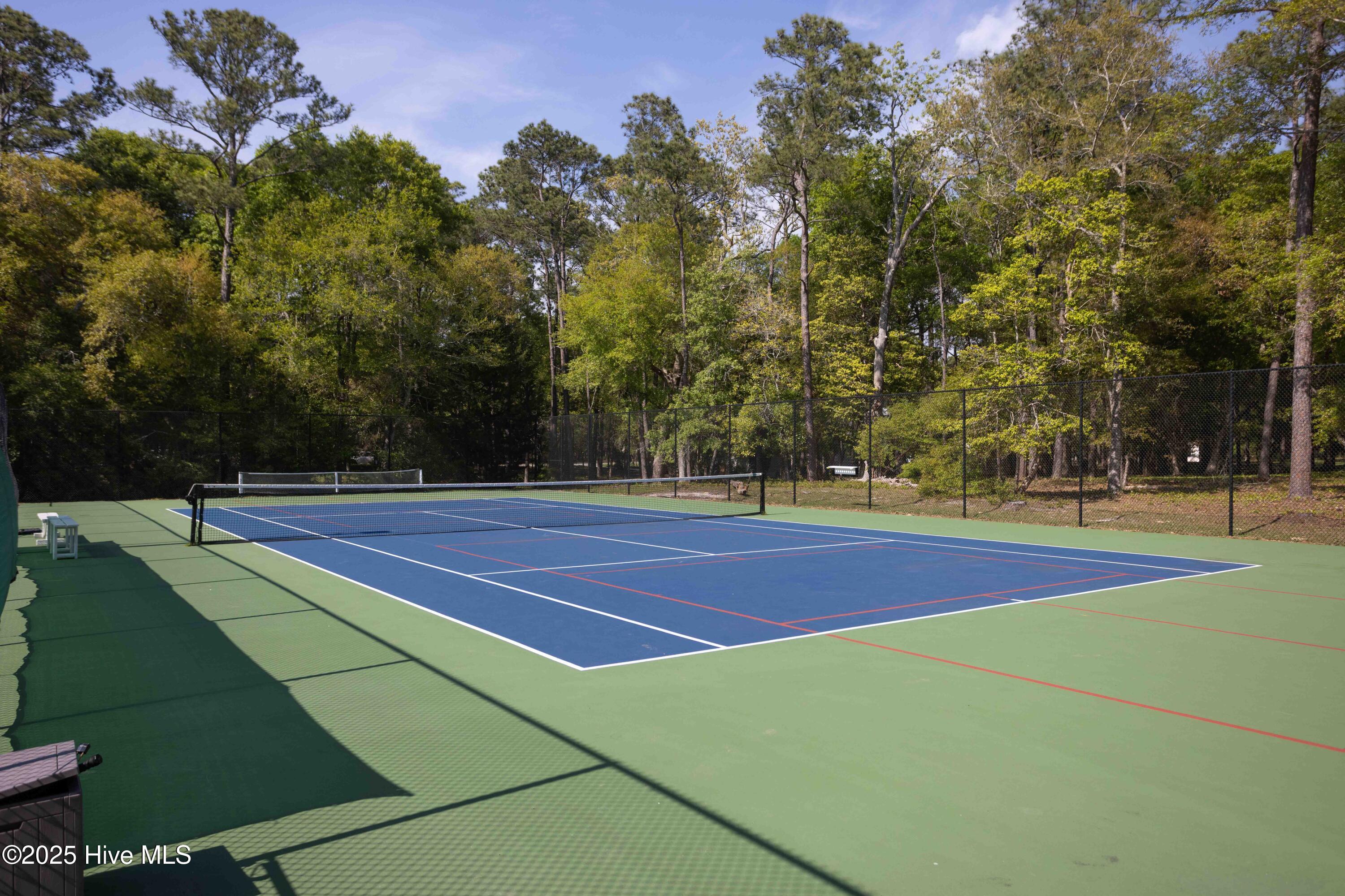 100545311 | Photo 21