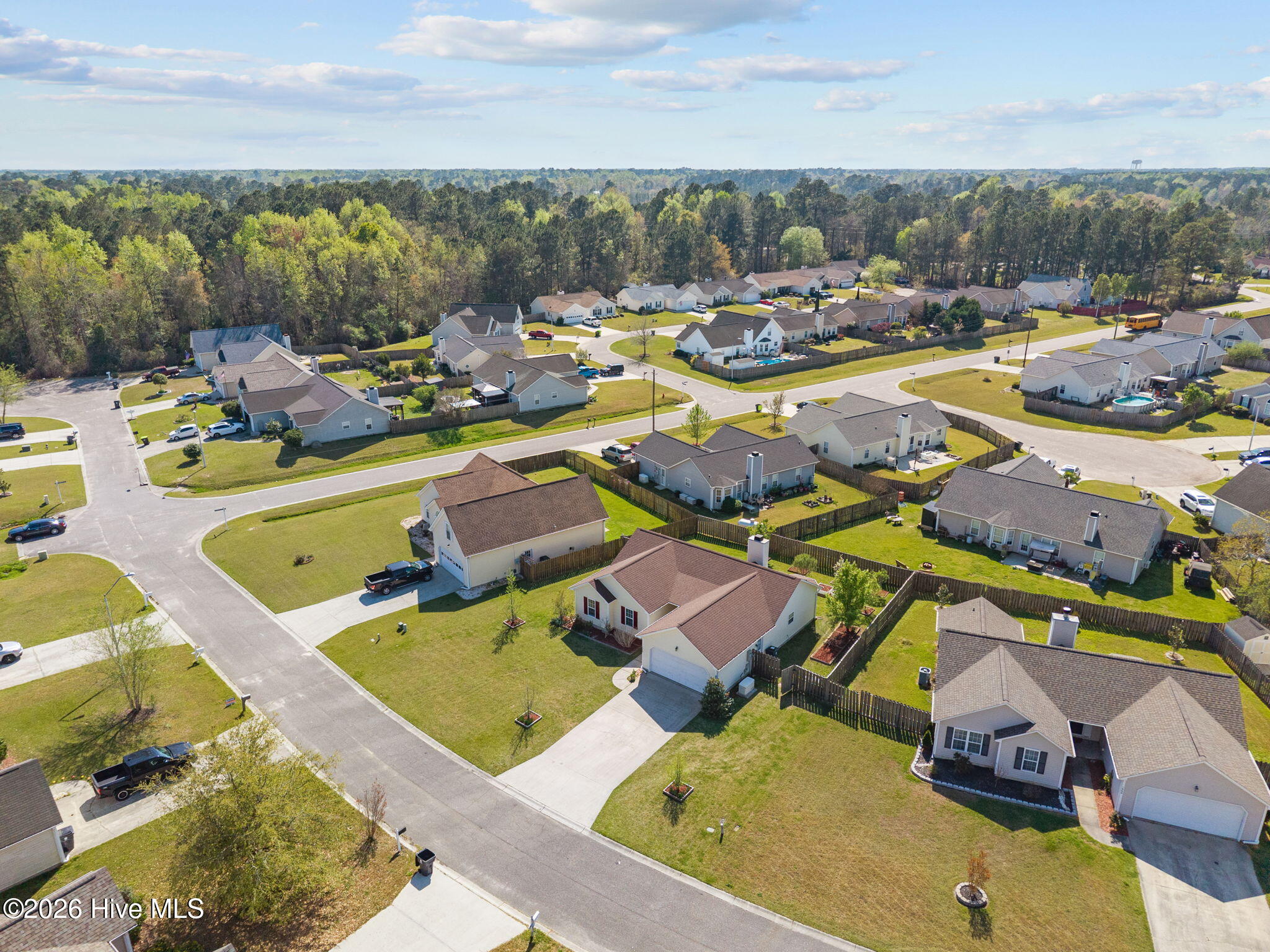 100563369 | Photo 11