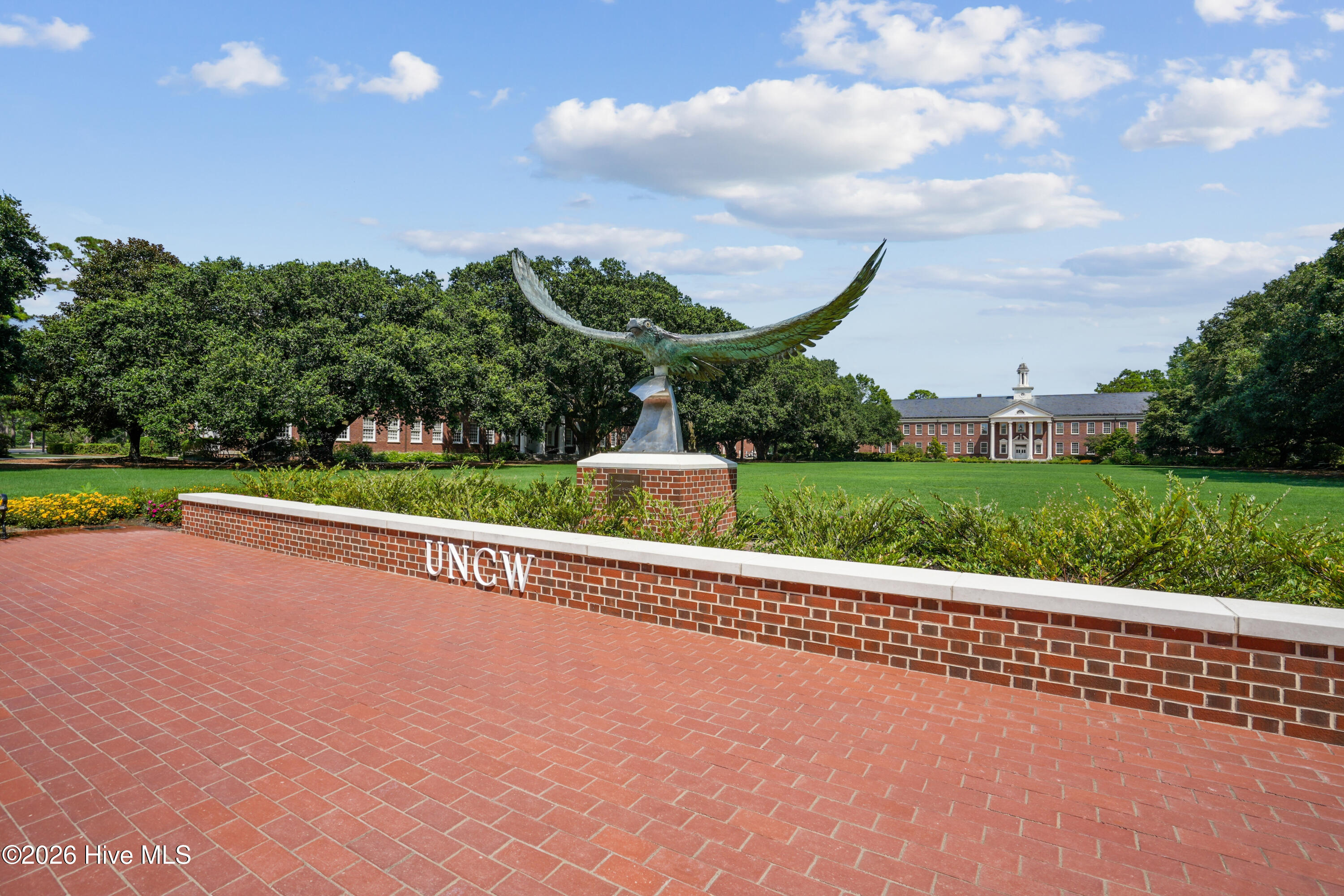 100569512 | Photo 13