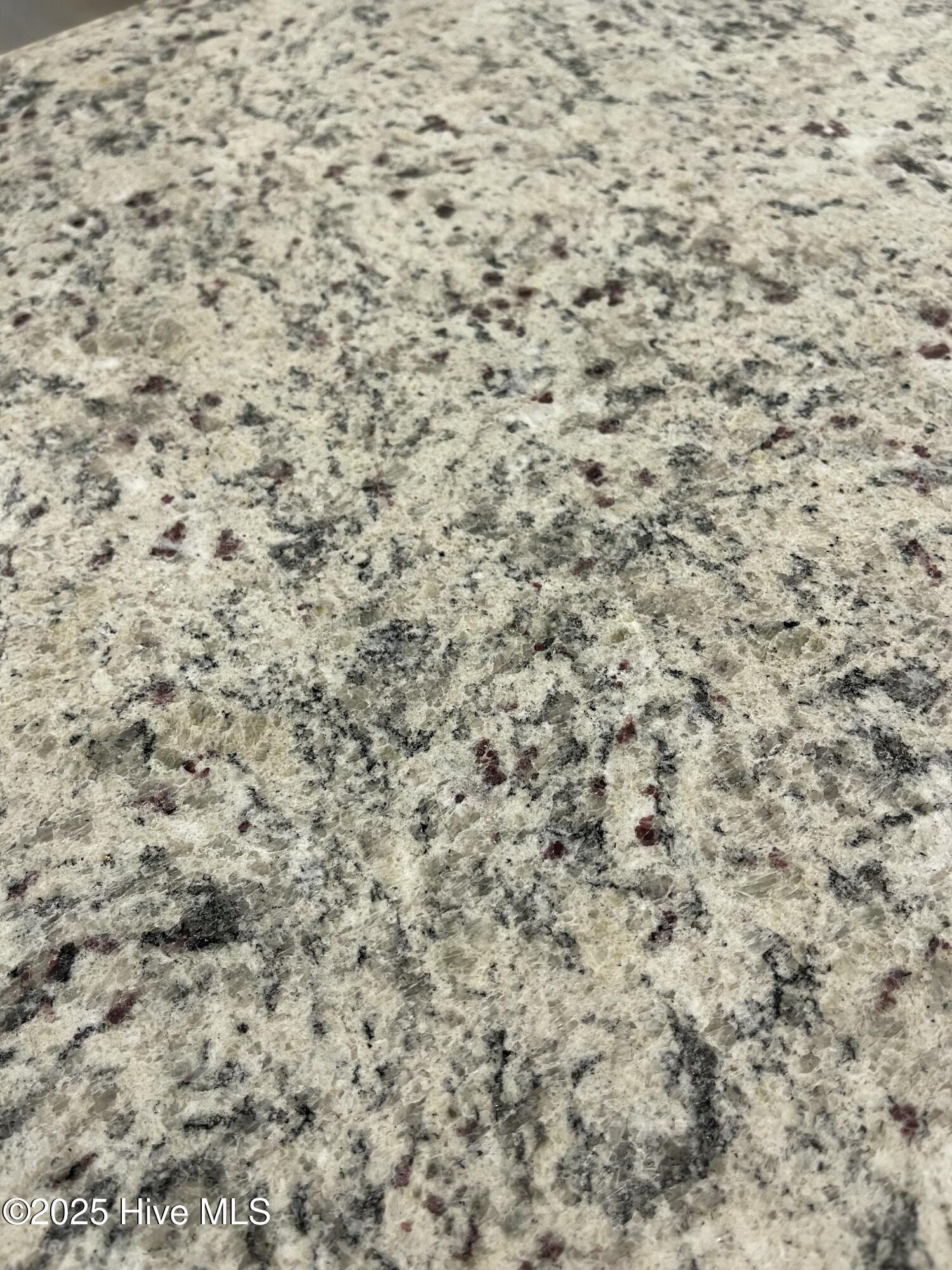 100522611 | Photo 19