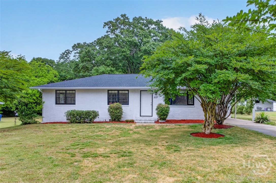 Property at 207 Buena Vista Street