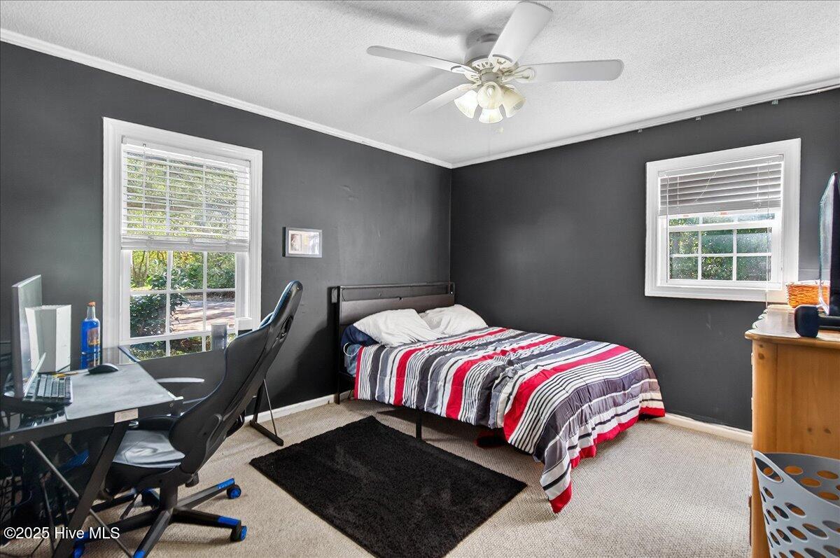 100539192 | Photo 18