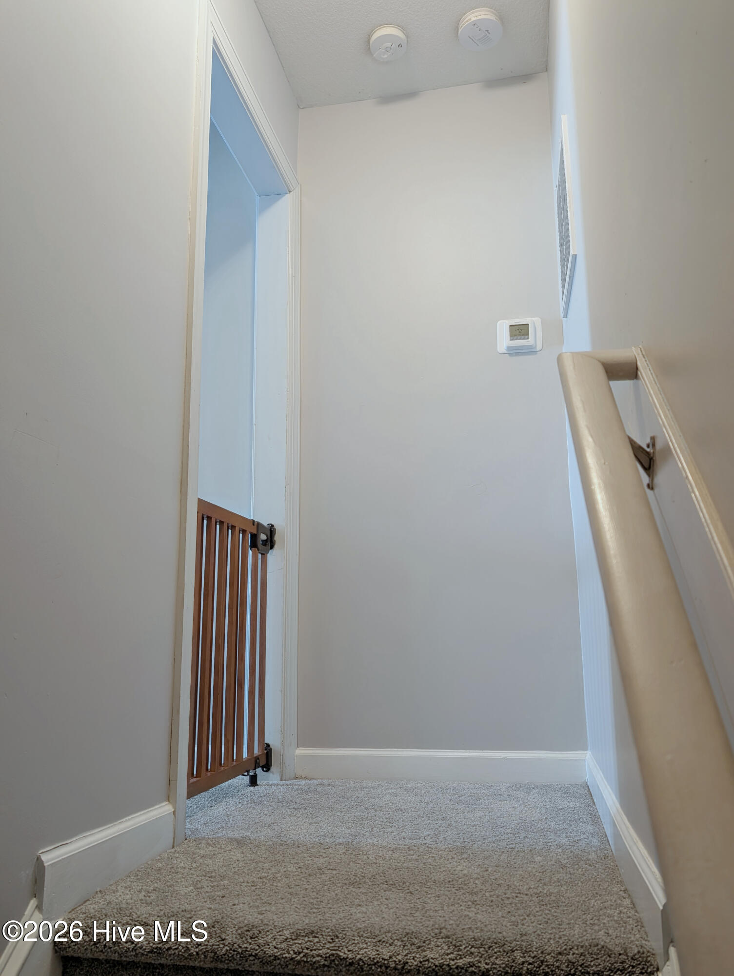 100564734 | Photo 66