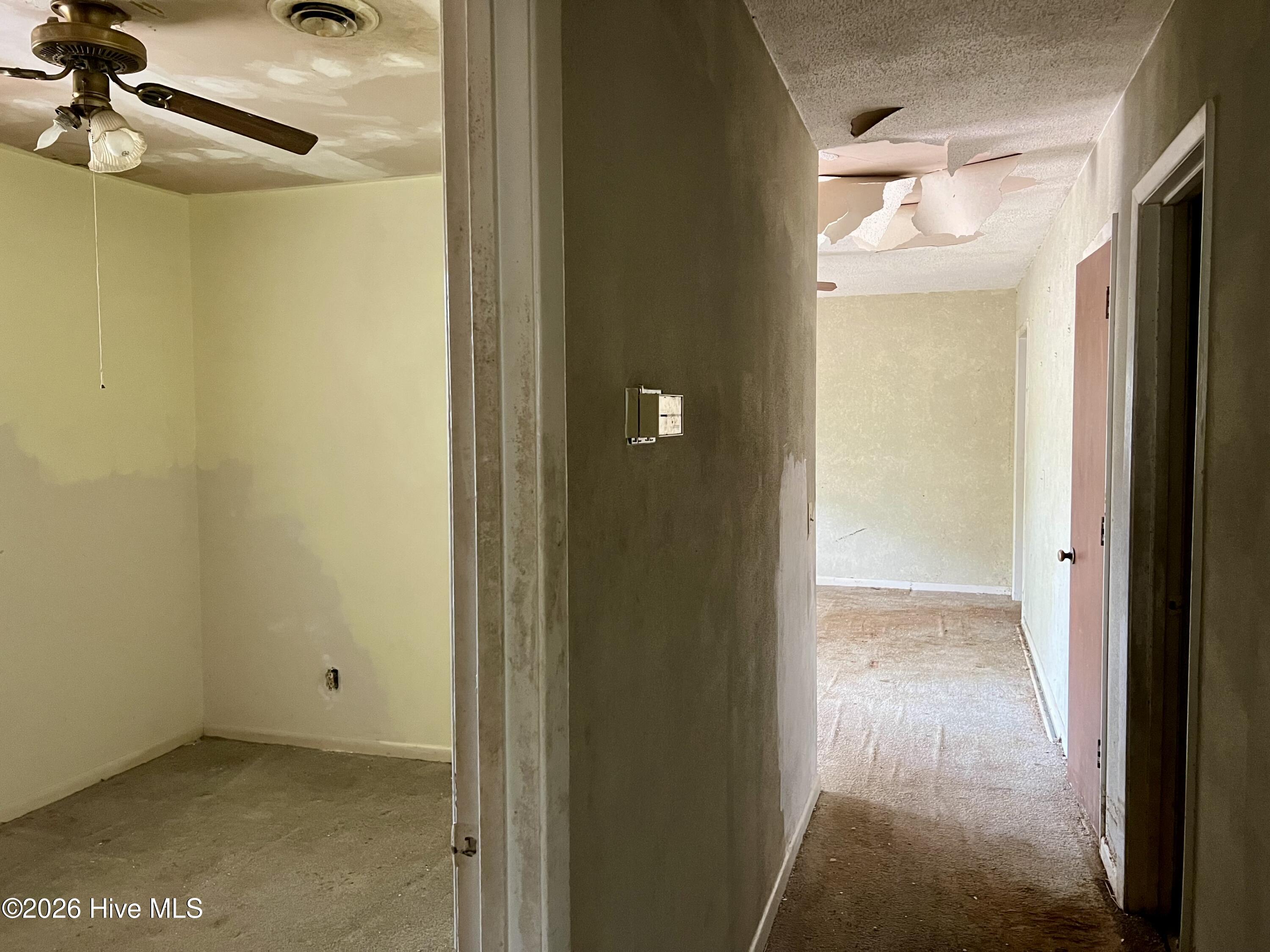 100562853 | Photo 14