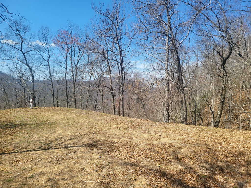 Exterior photo of SR 1229 Dry Creek, Robbinsville, NC 28771. MLS: 98524832