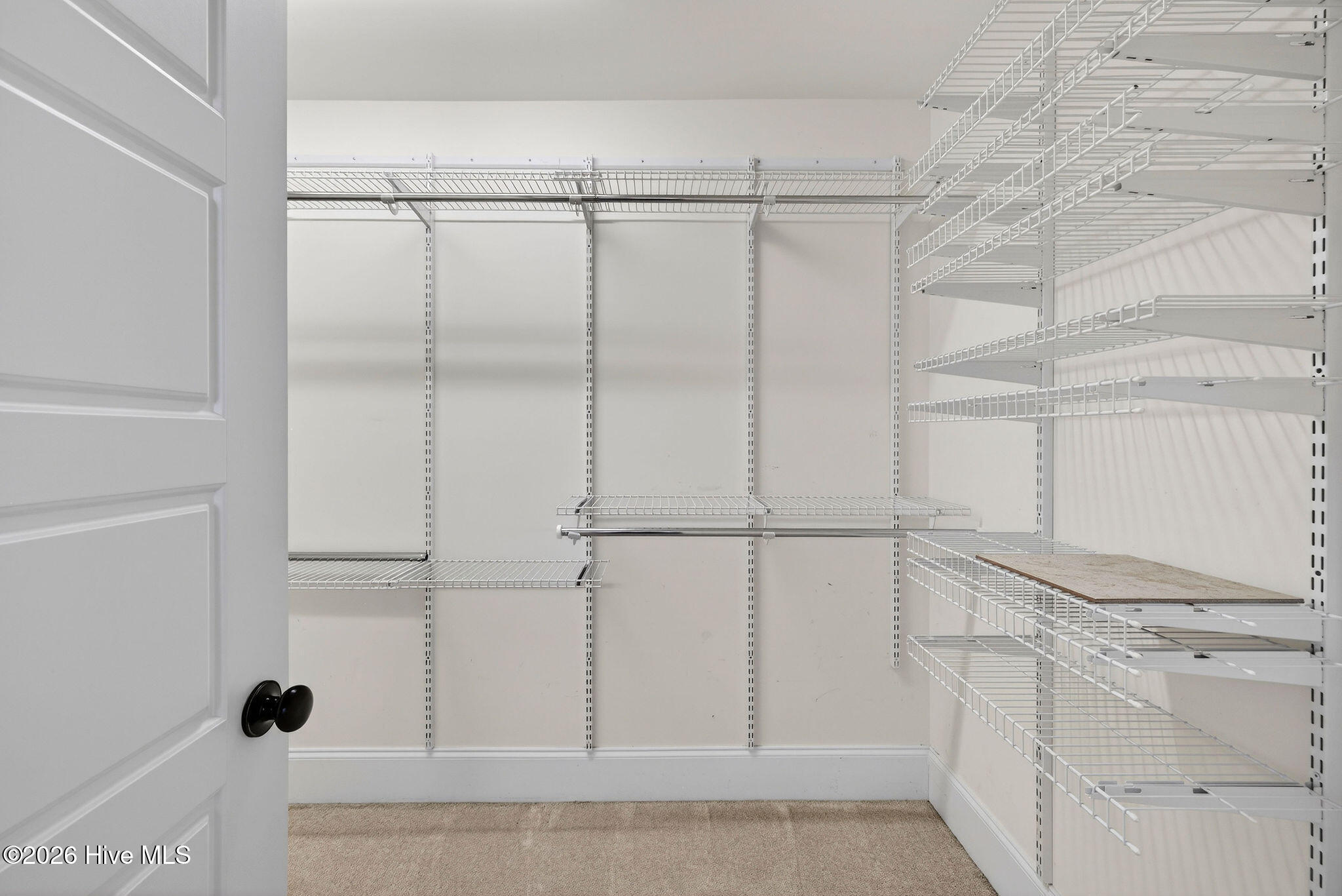 100549493 | Photo 44