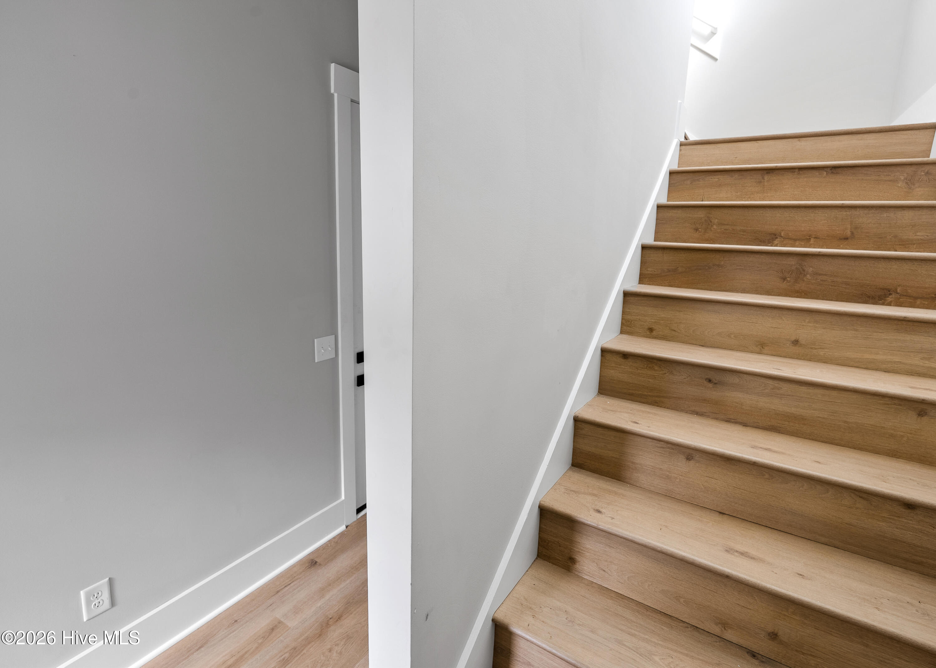 100553267 | Photo 14