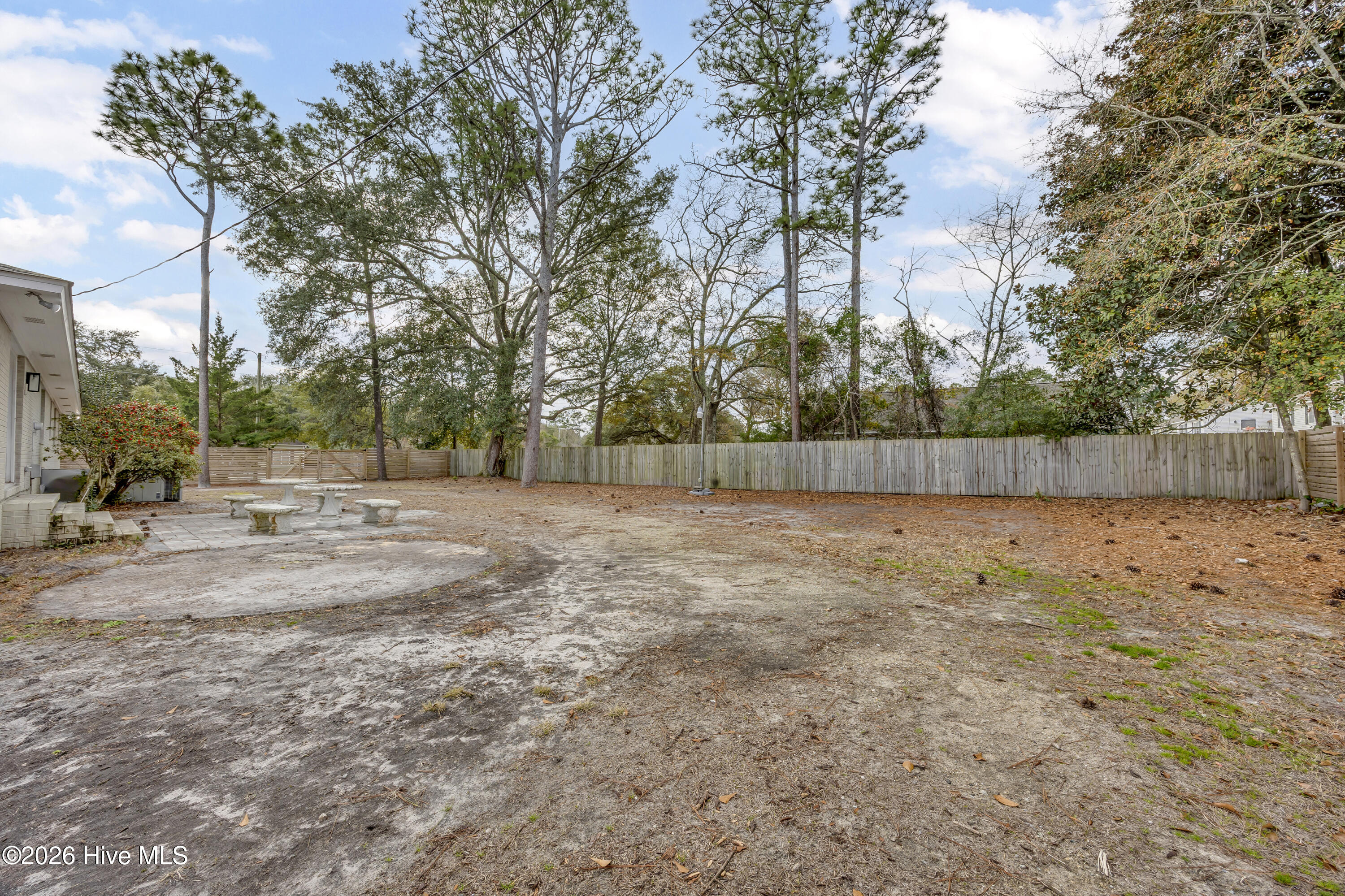 100548669 | Photo 15