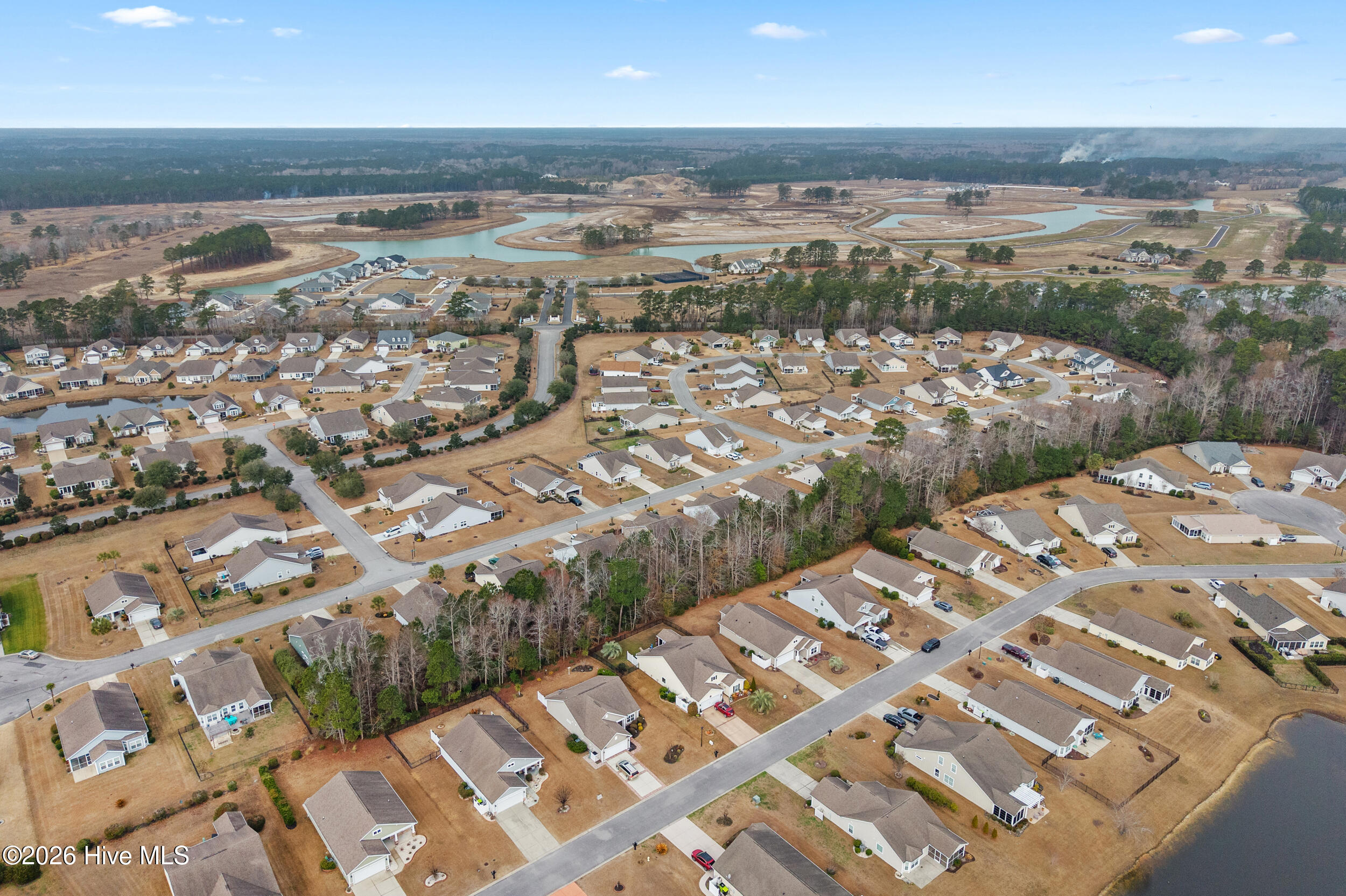 100554987 | Photo 41