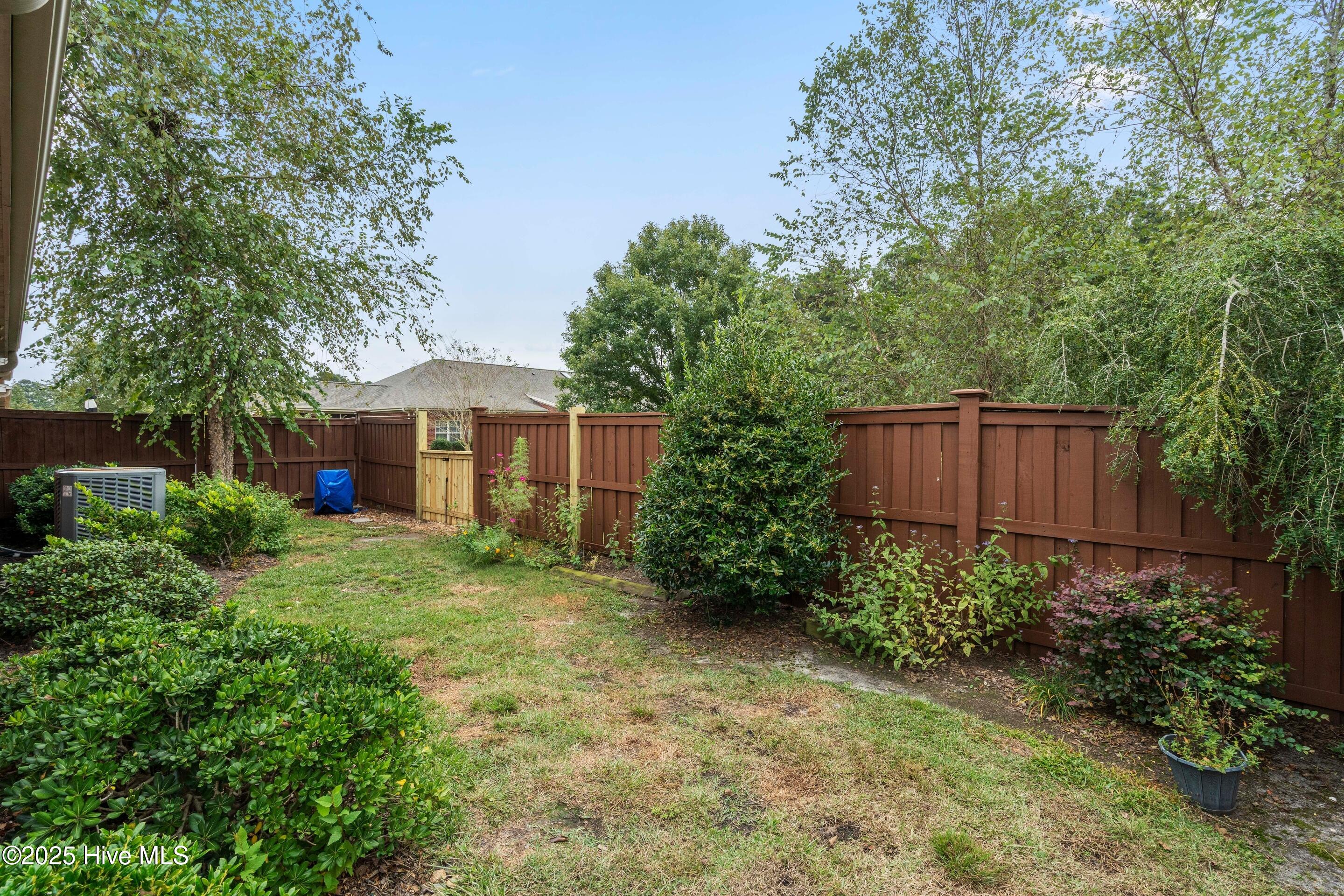 100532046 | Photo 38