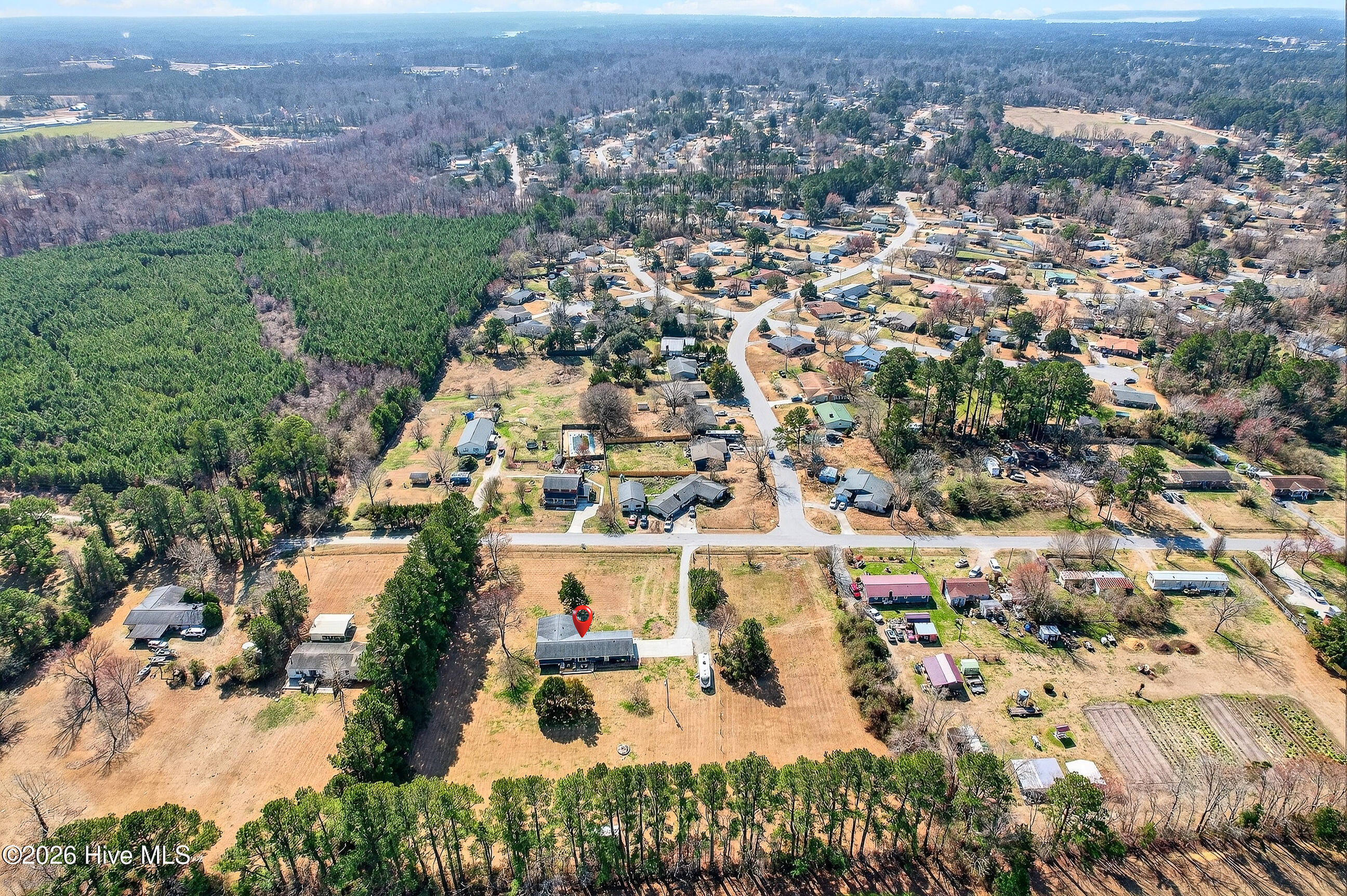 100559929 | Photo 34