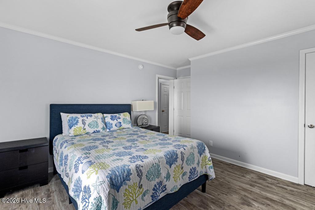 100559201 | Photo 23