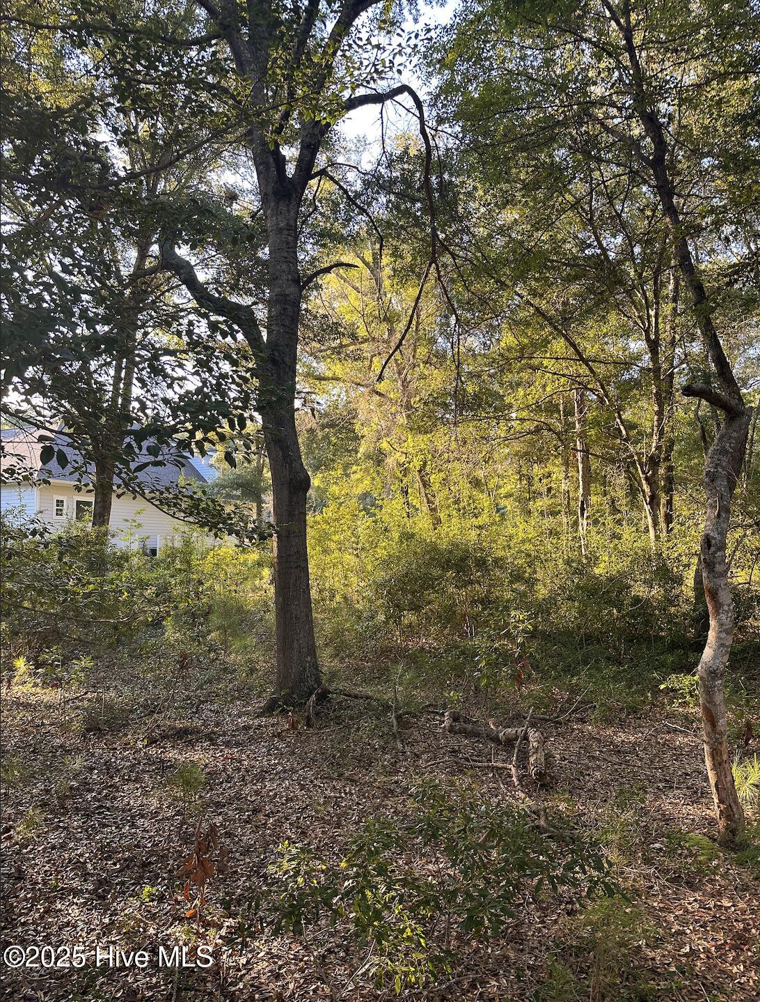 100528221 | Photo 12