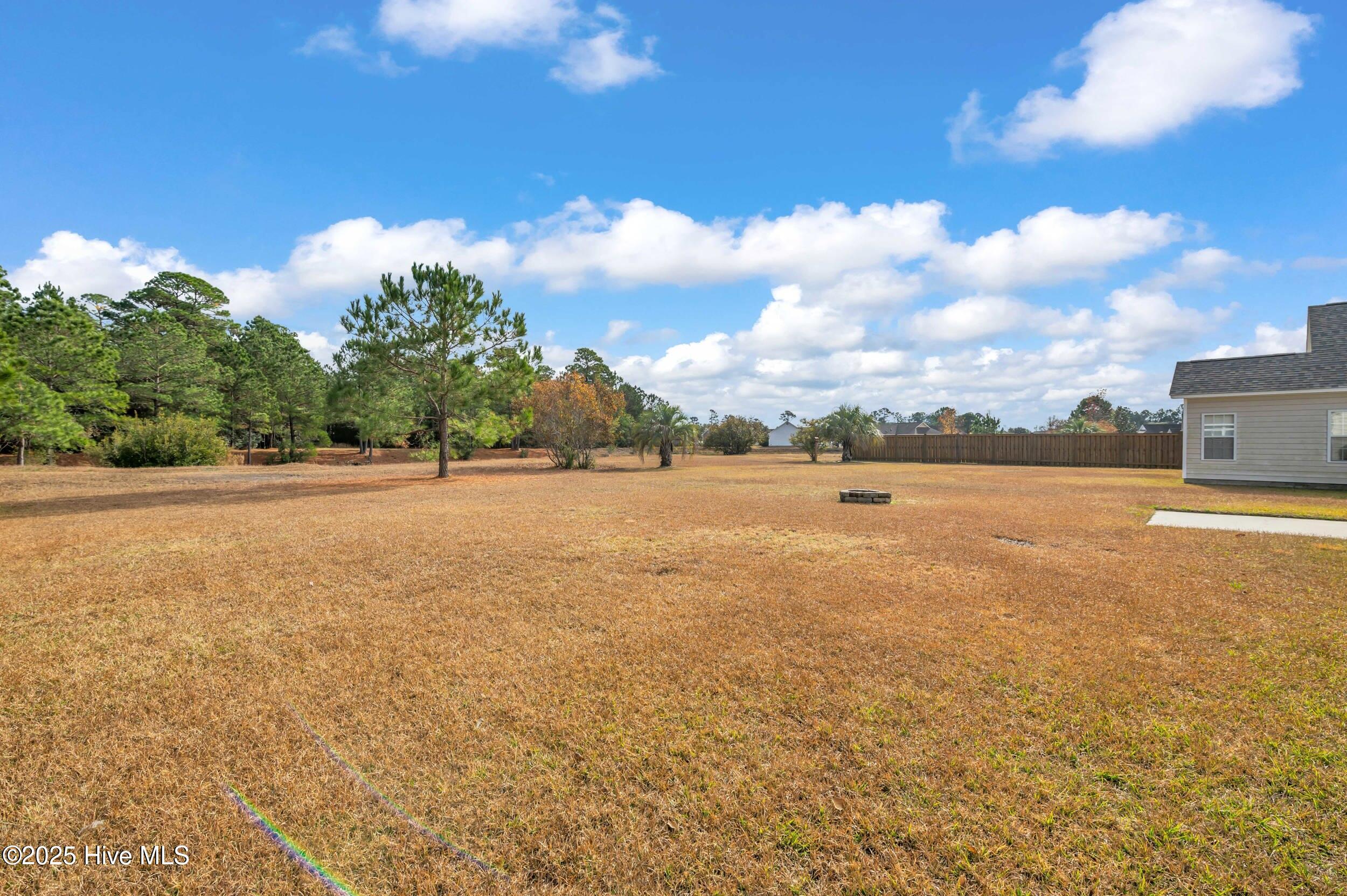 100545290 | Photo 15