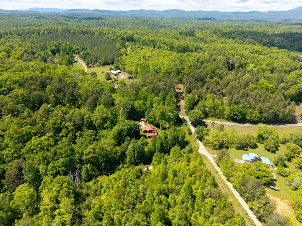 11985 Highway 294, Murphy, NC 28906 Listing Photo  42