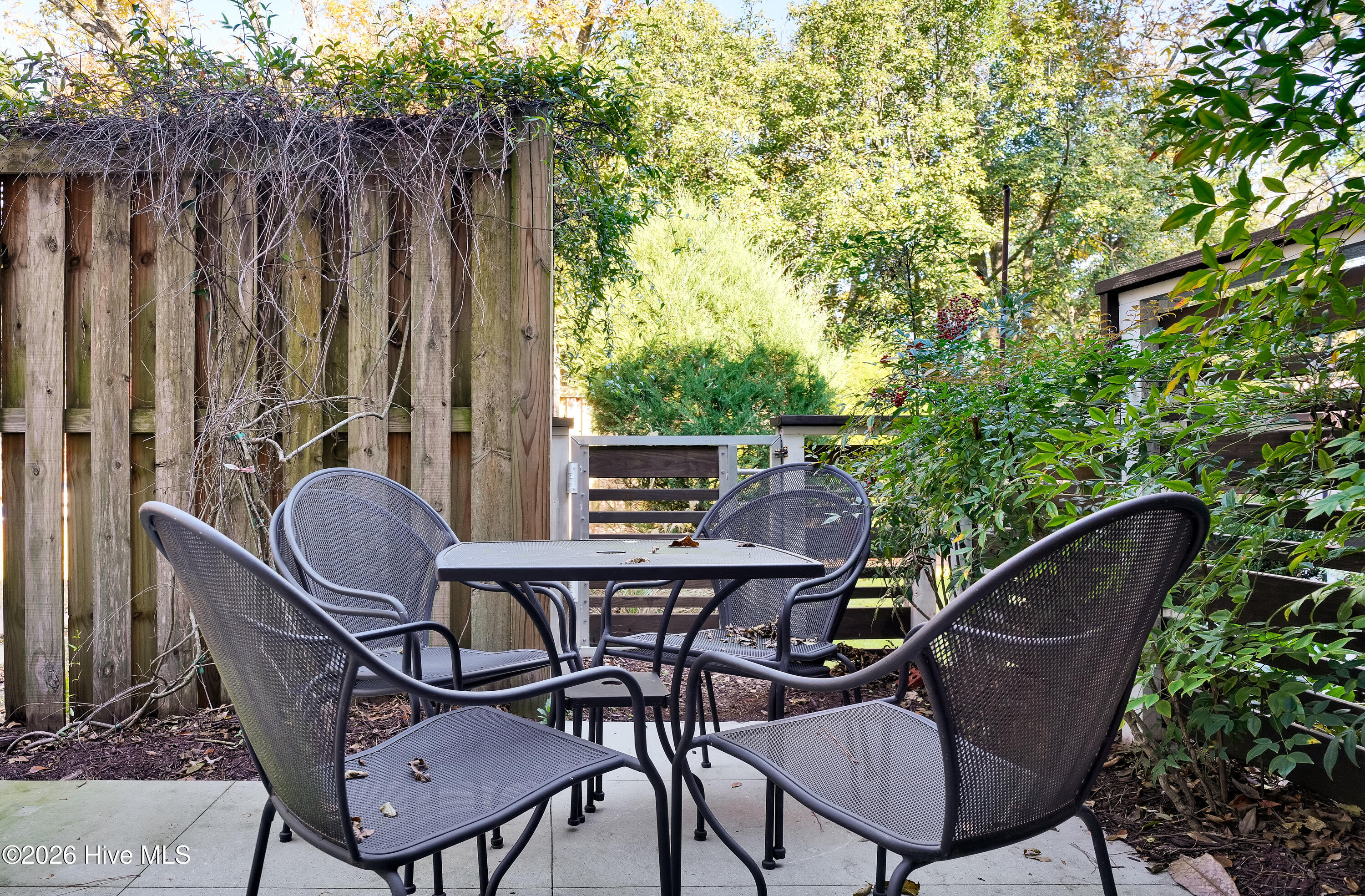 100567789 | Photo 10