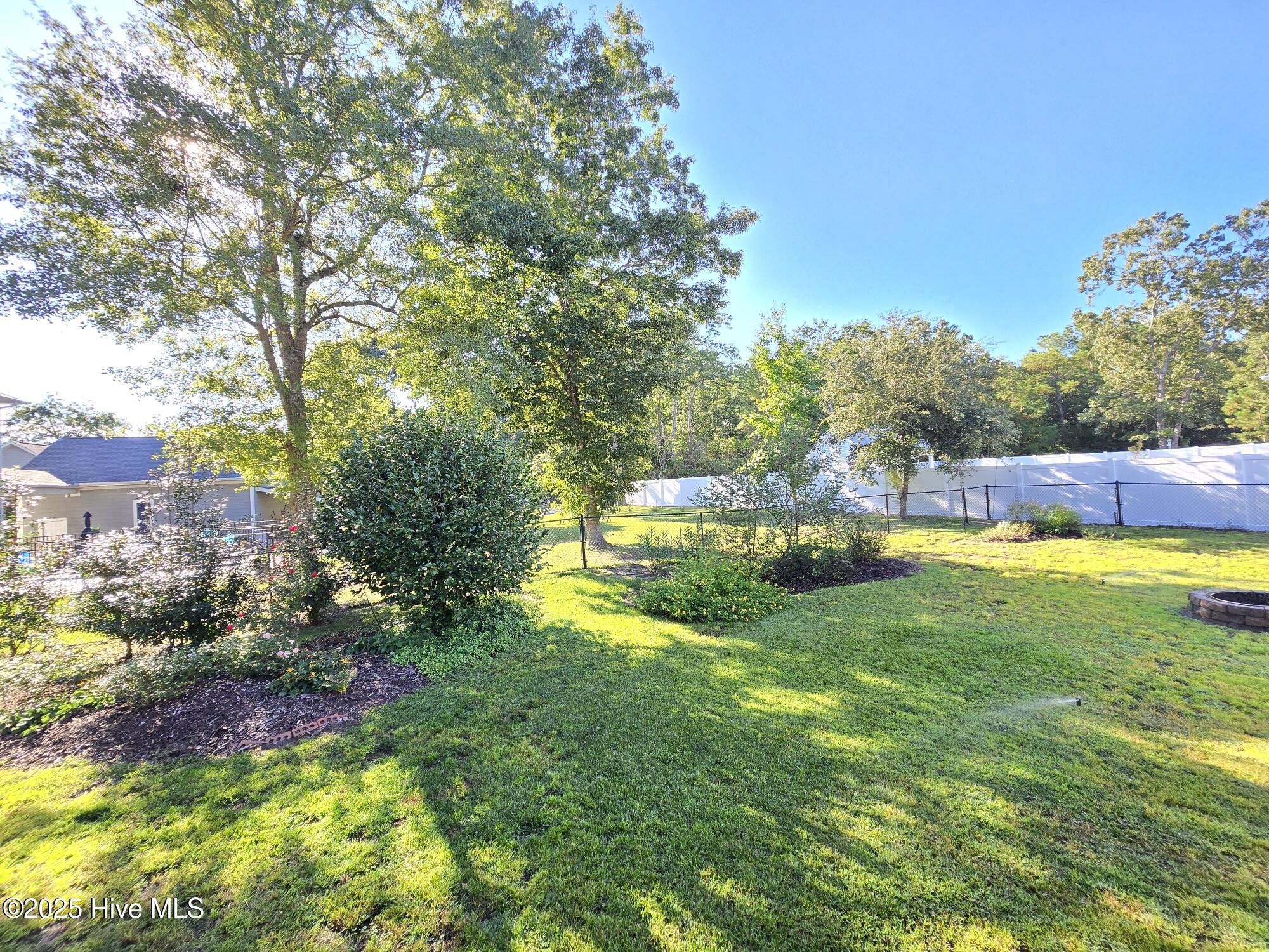 100531854 | Photo 25