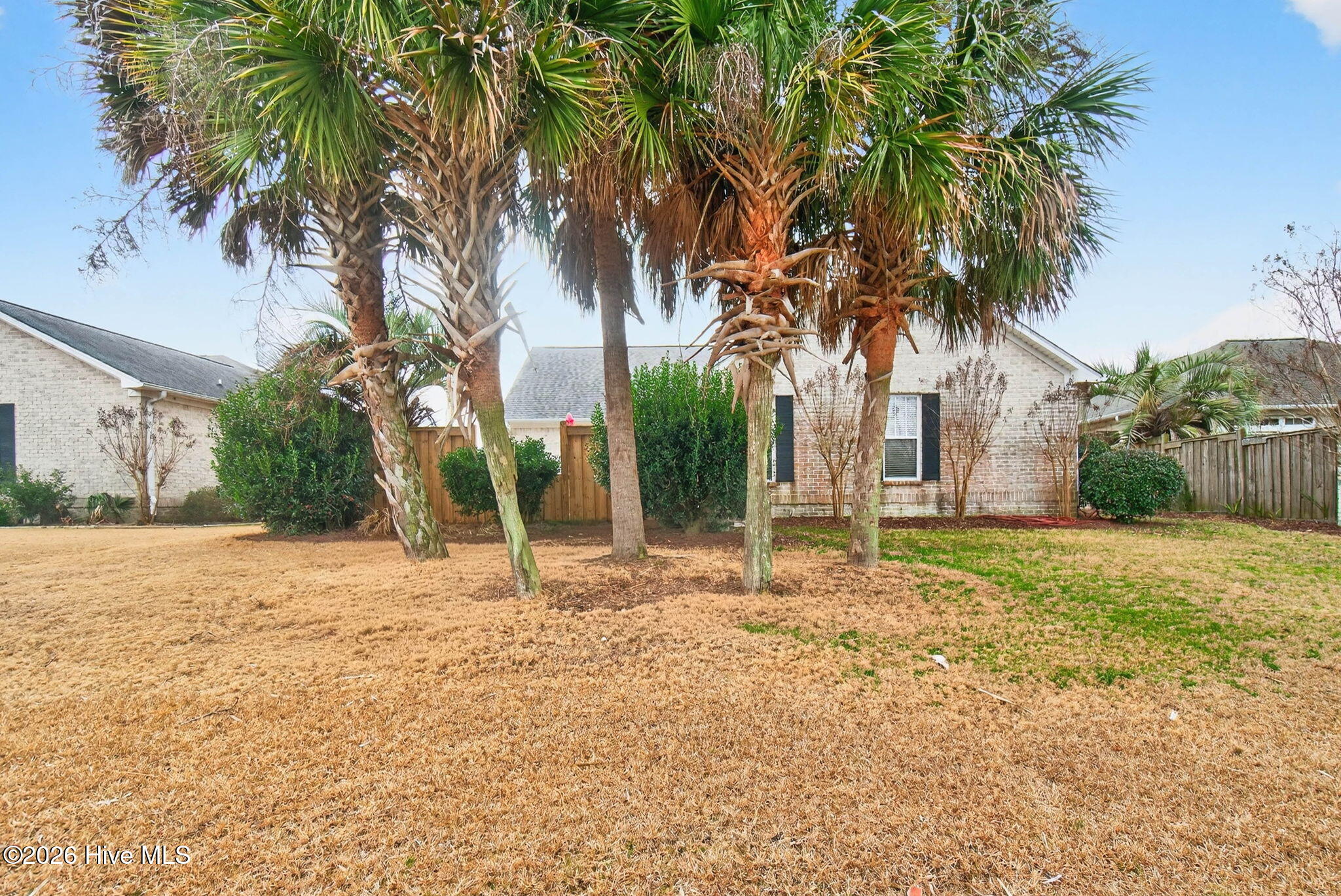 100556001 | Photo 30