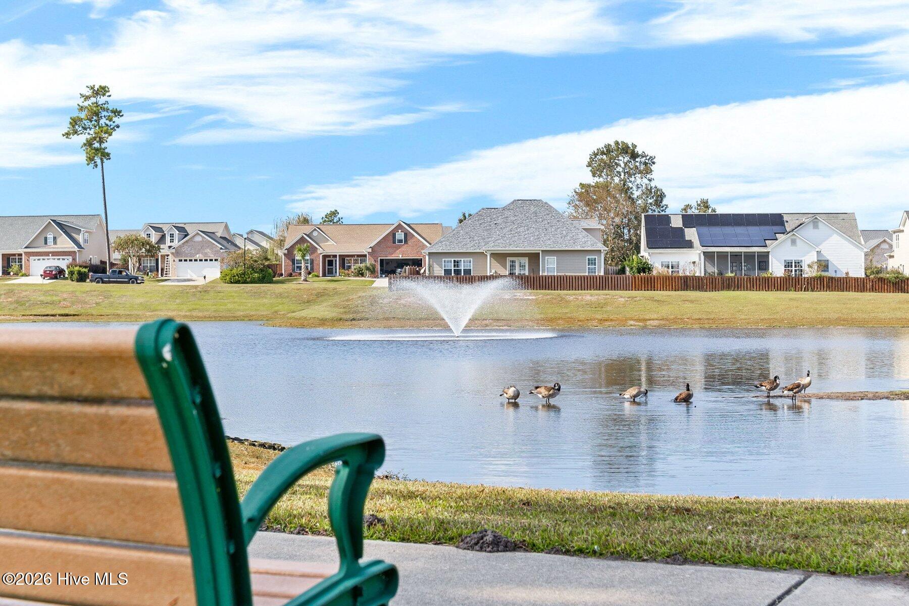 100557697 | Photo 28