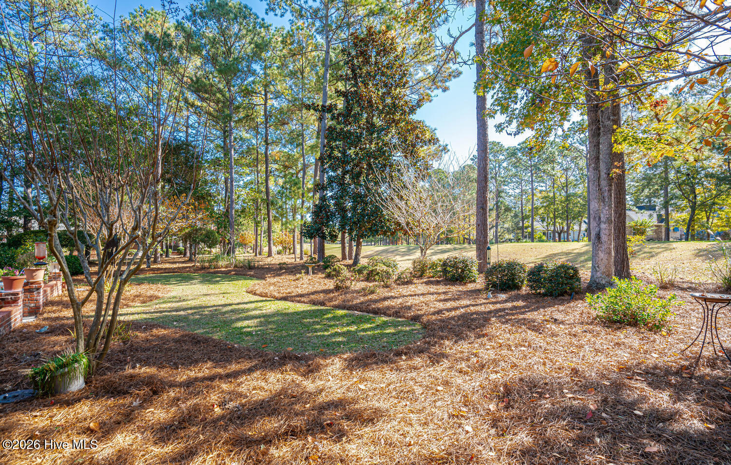 100551245 | Photo 58