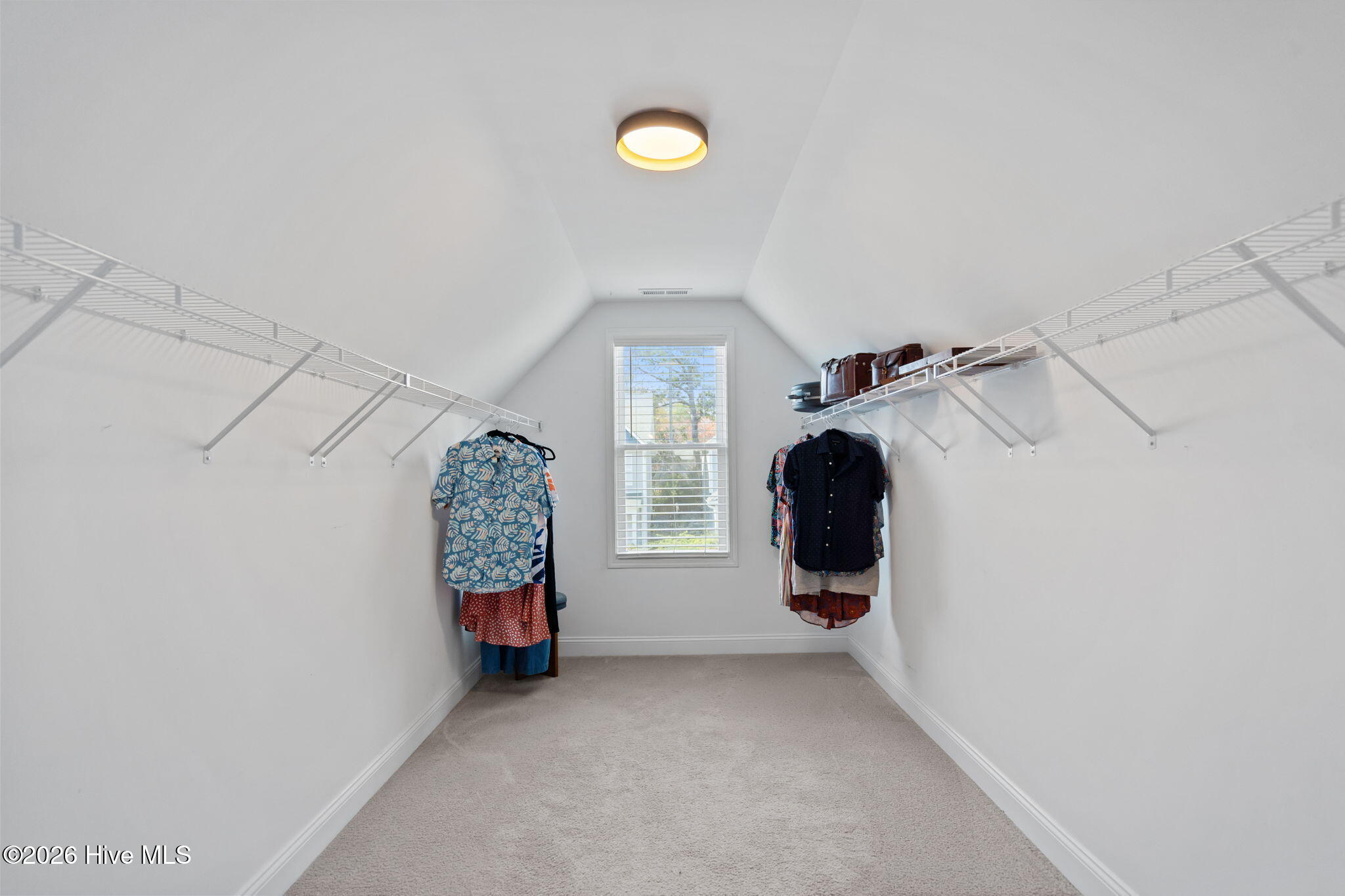 100562615 | Photo 26