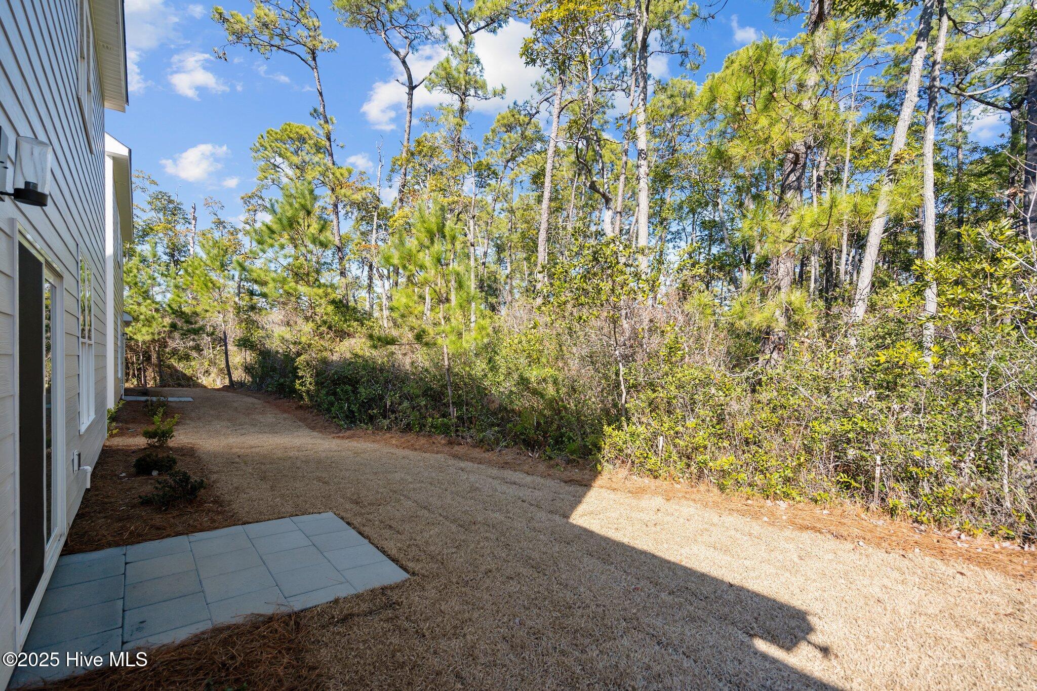 100487553 | Photo 41