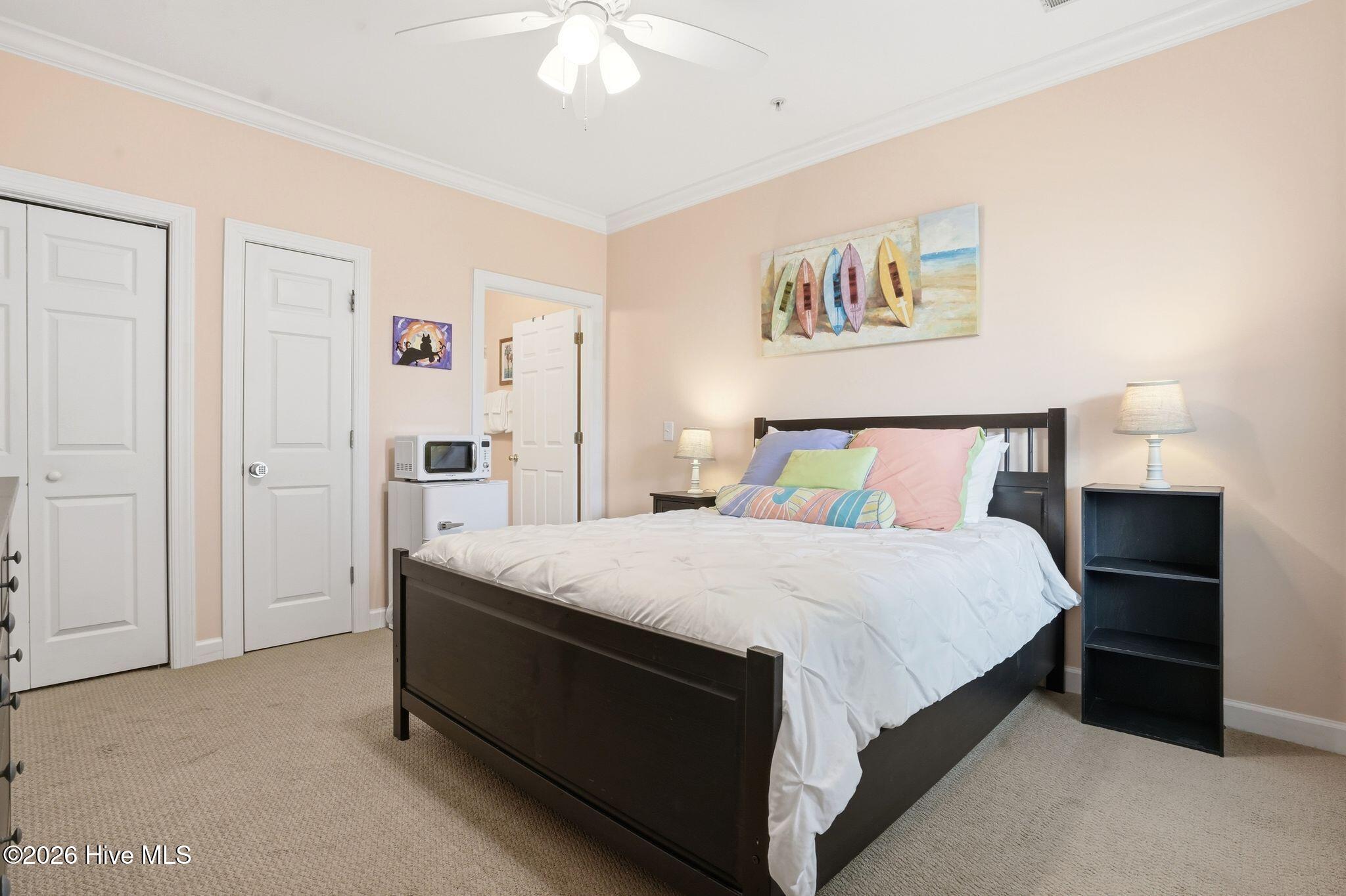 100560222 | Photo 23