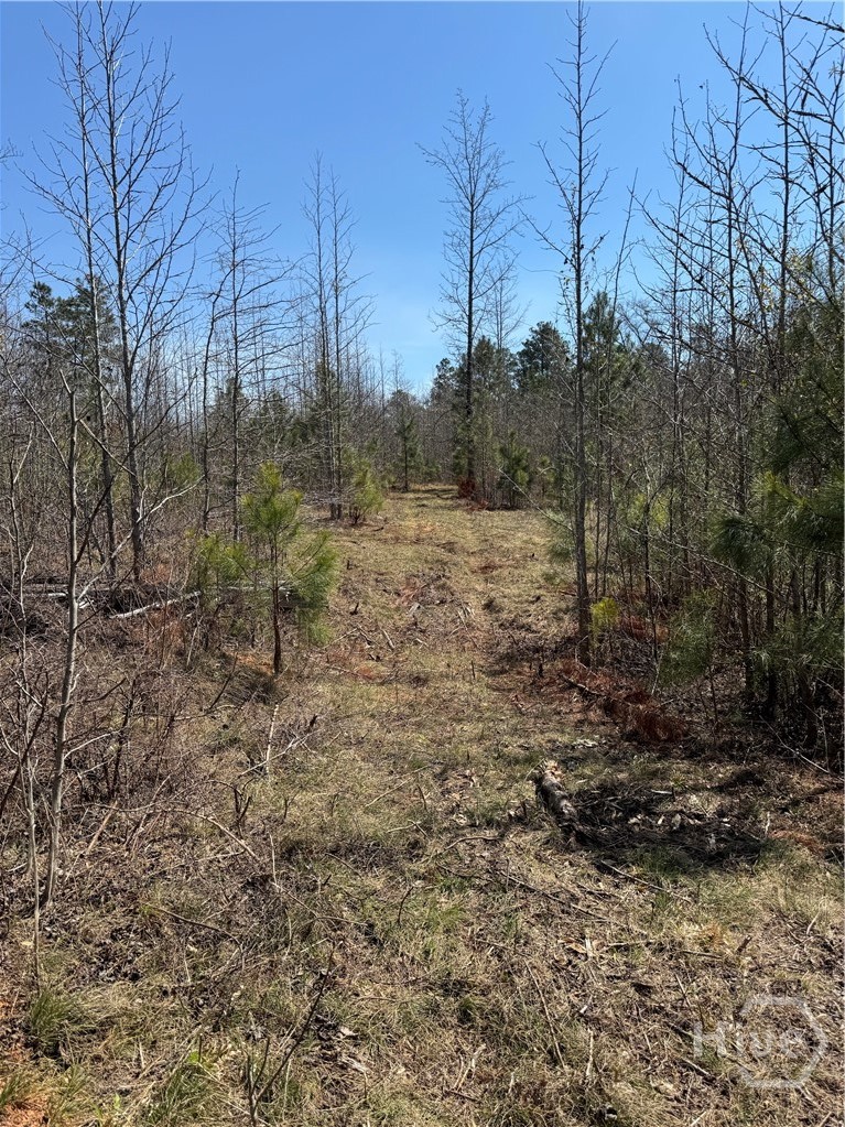 738 Old Mineral Springs Road, Elberton, GA, 30635