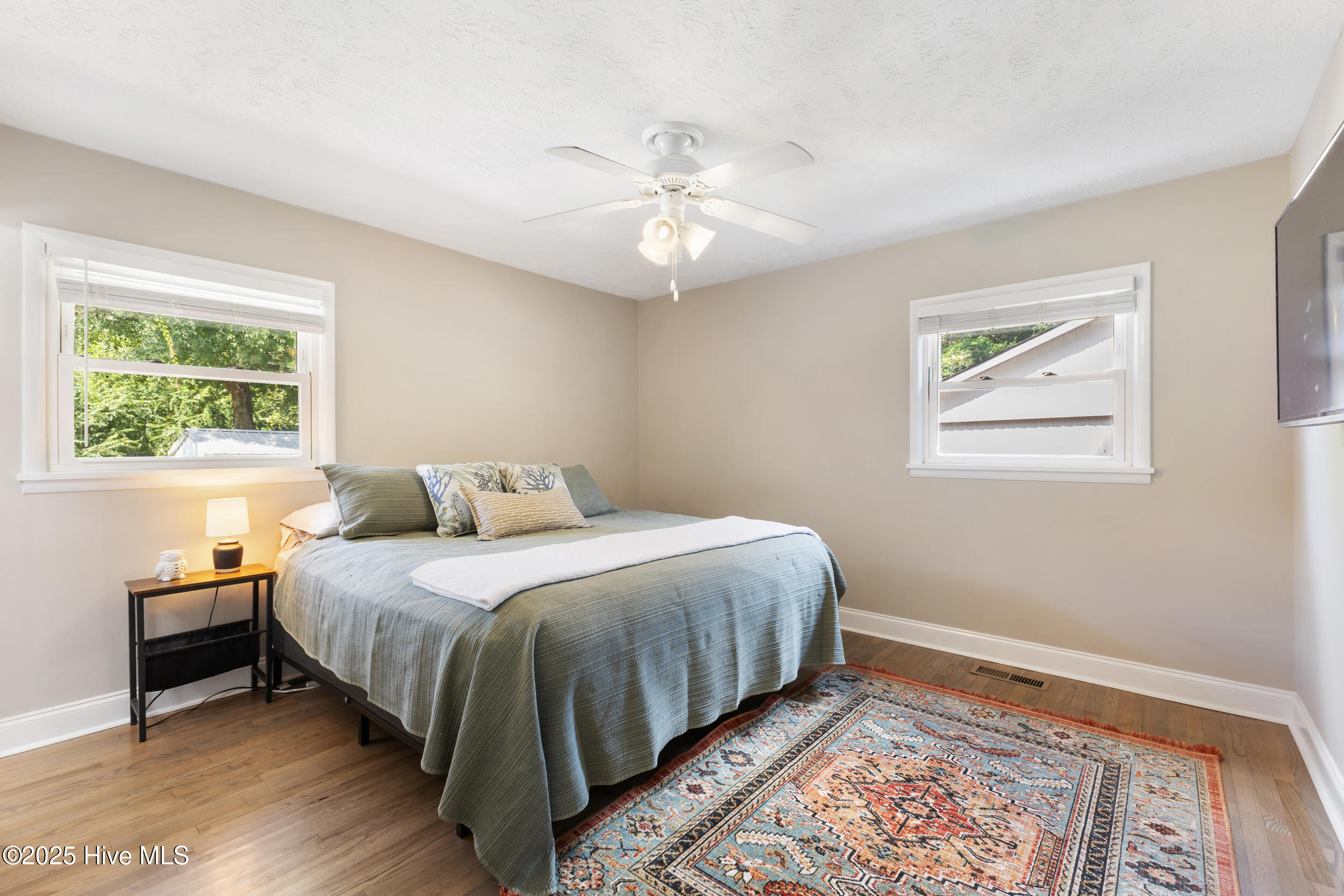 100527915 | Photo 14