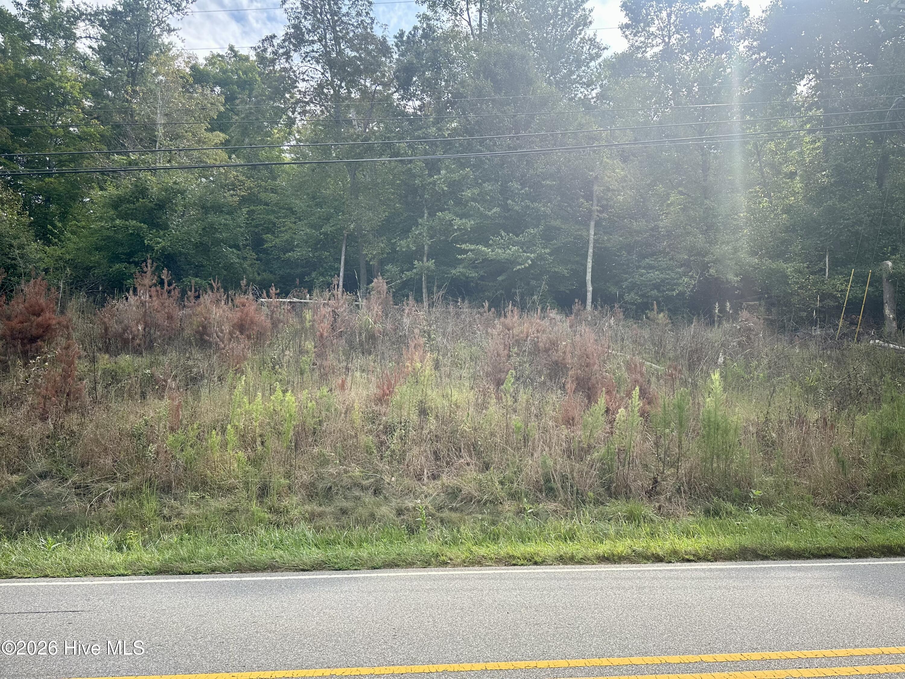 Listing Photo 100602073