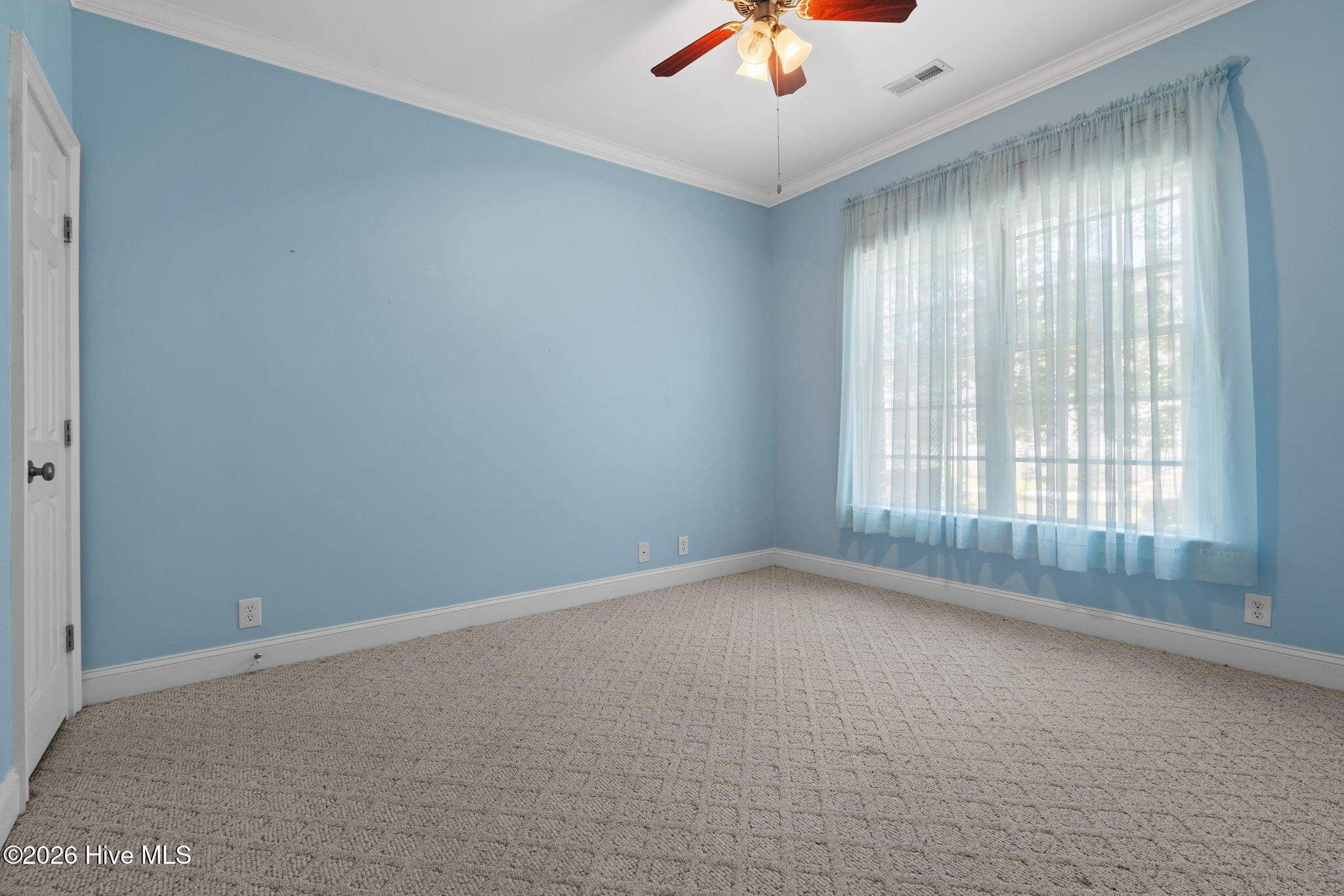 100569598 | Photo 31