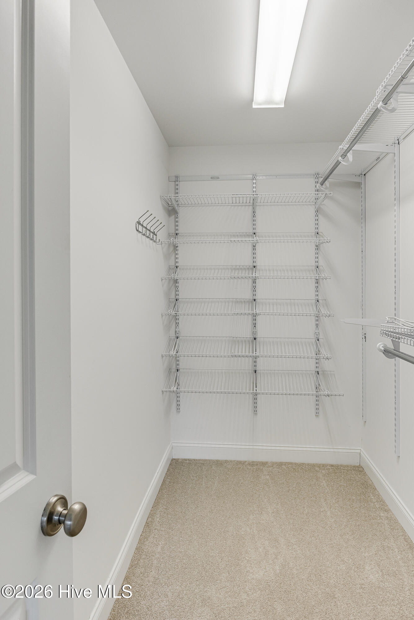 100562129 | Photo 28