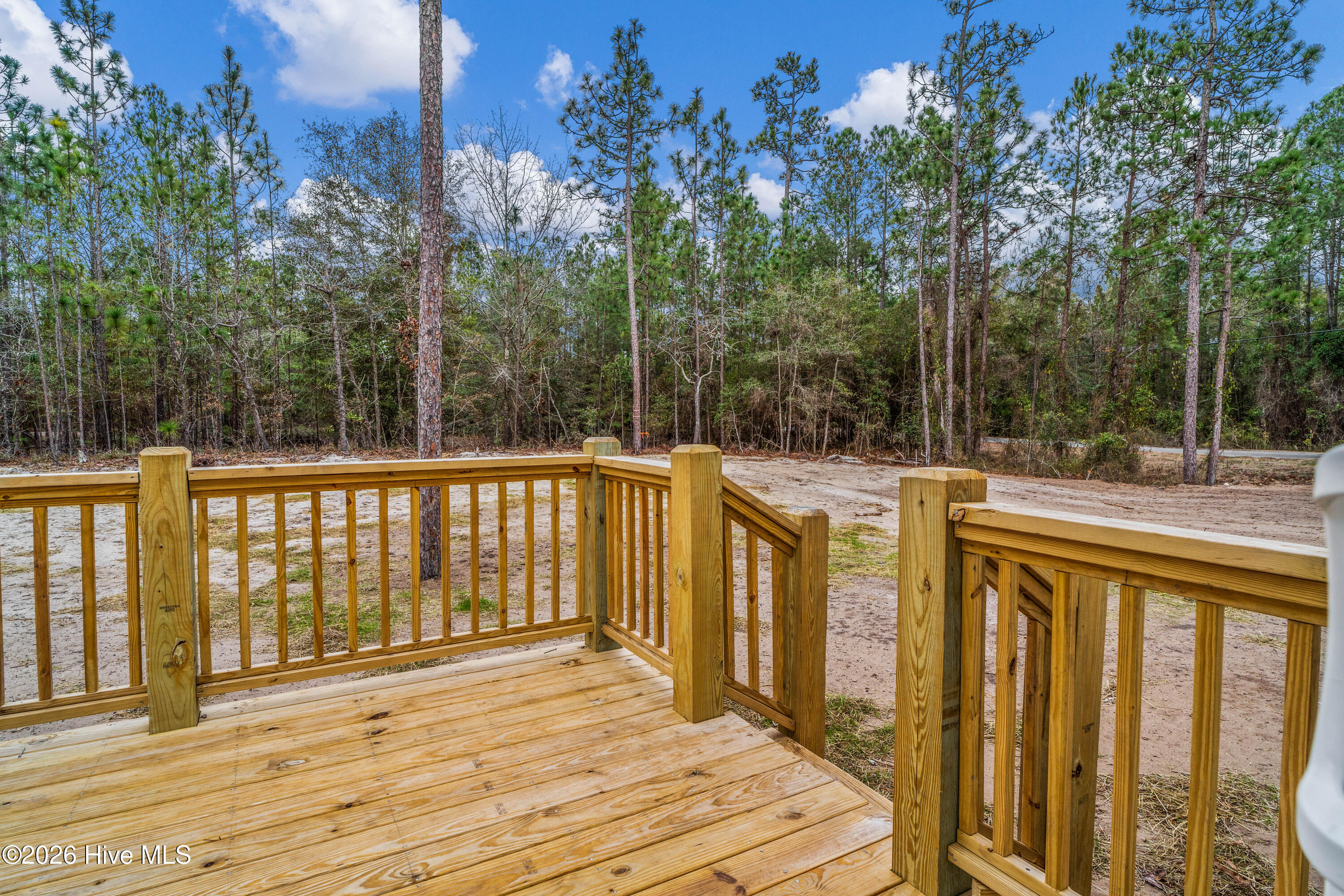 100523338 | Photo 11