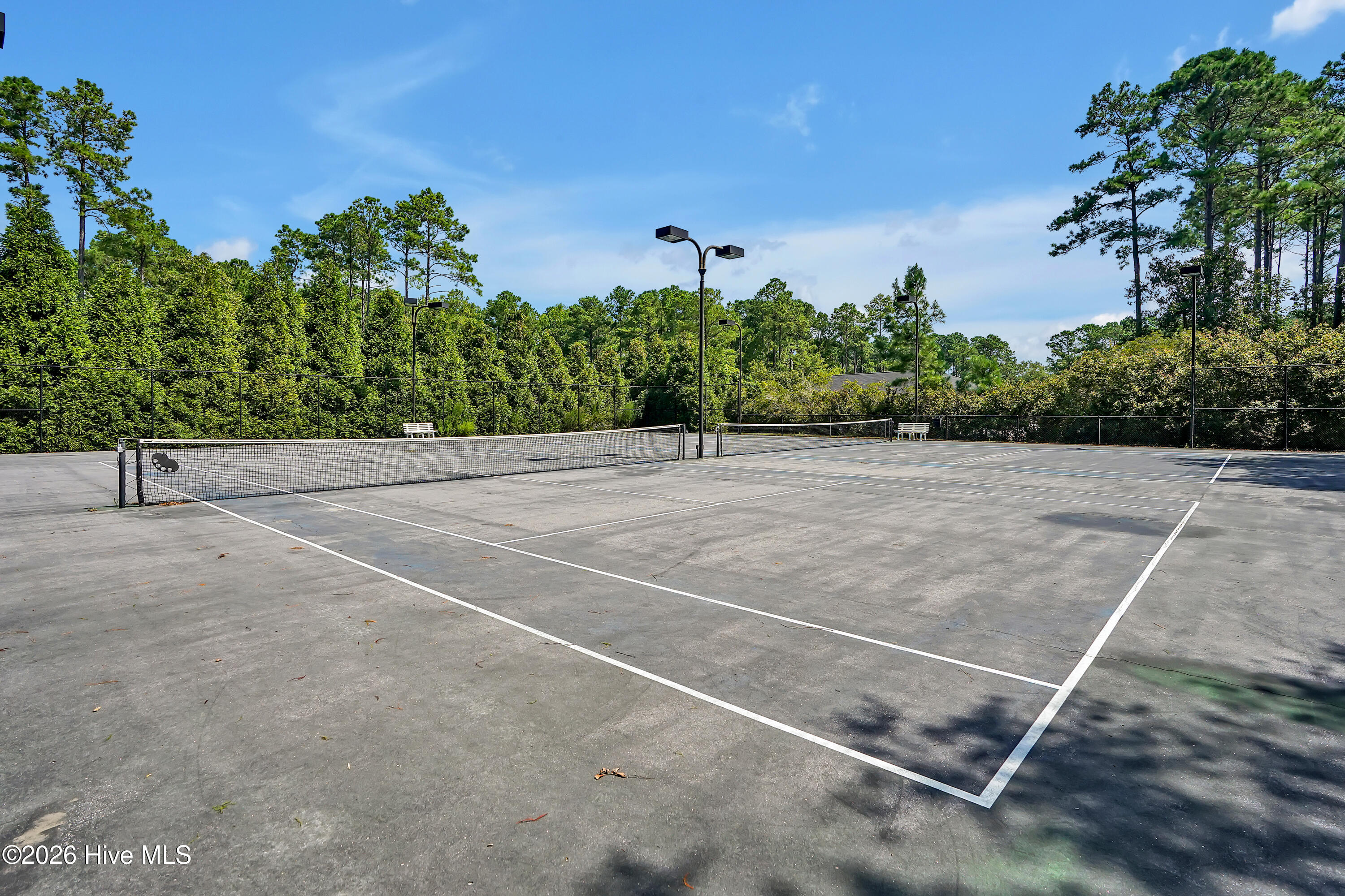 100569980 | Photo 31