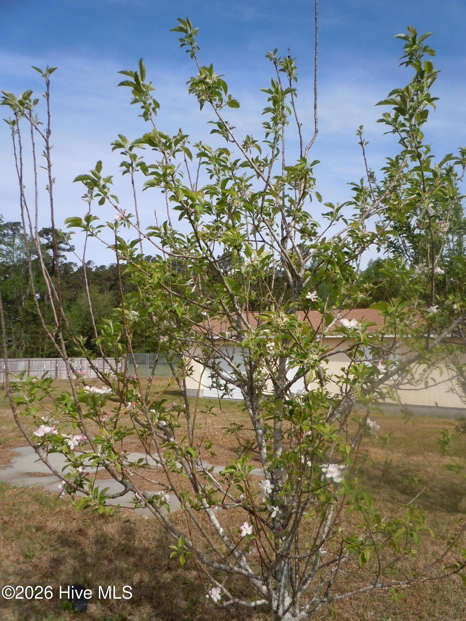 100565752 | Photo 71