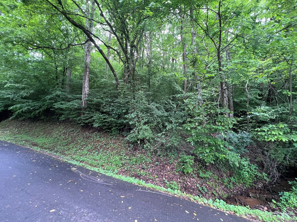 Exterior photo of 0 Ash Branch Circle, Hayesville, NC 28904. MLS: 98543788
