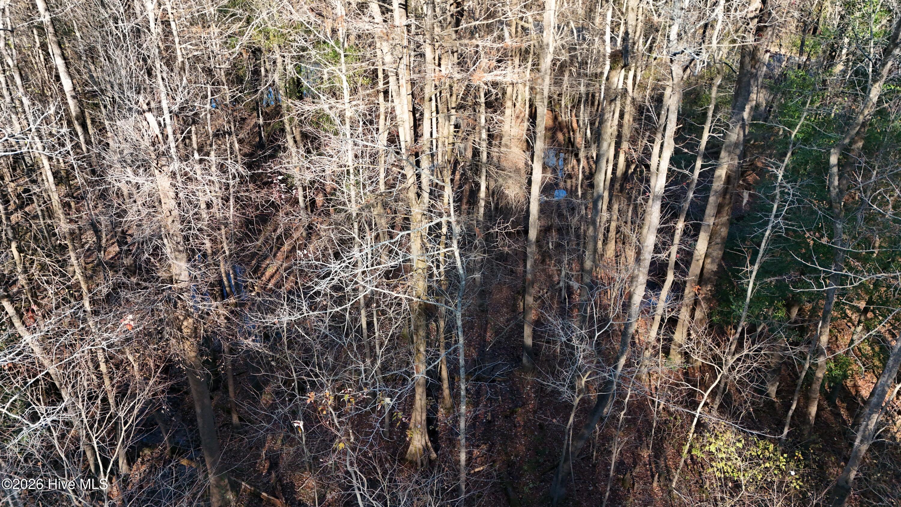 100556794 | Photo 18