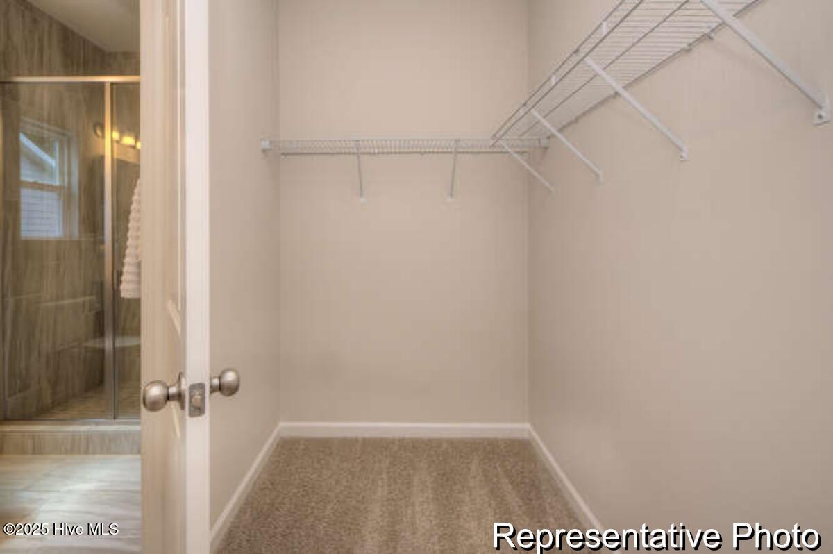 100529064 | Photo 26