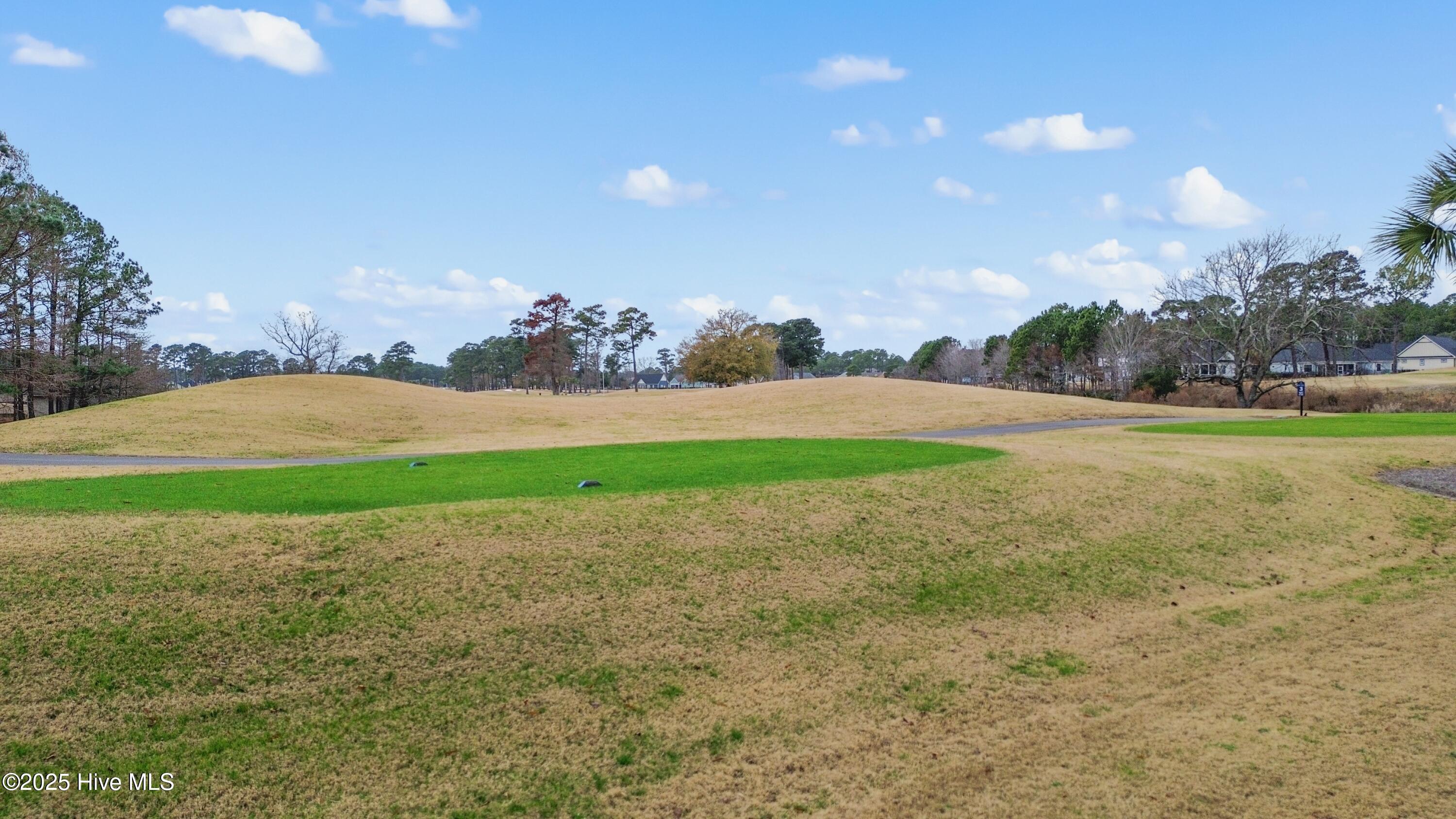 100546246 | Photo 42