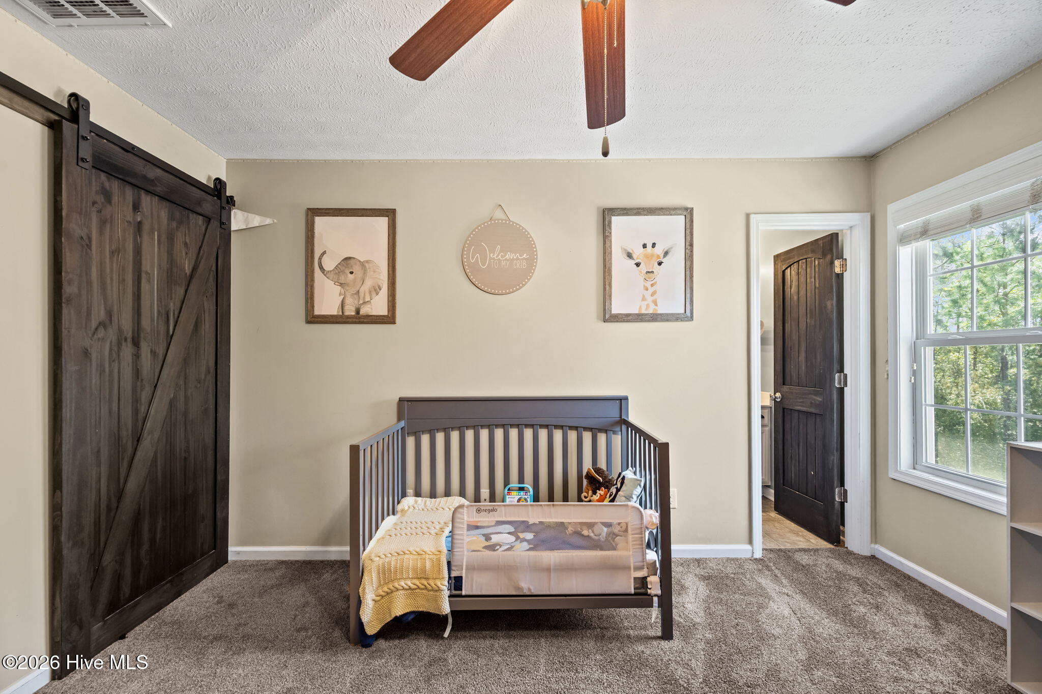 100564313 | Photo 19