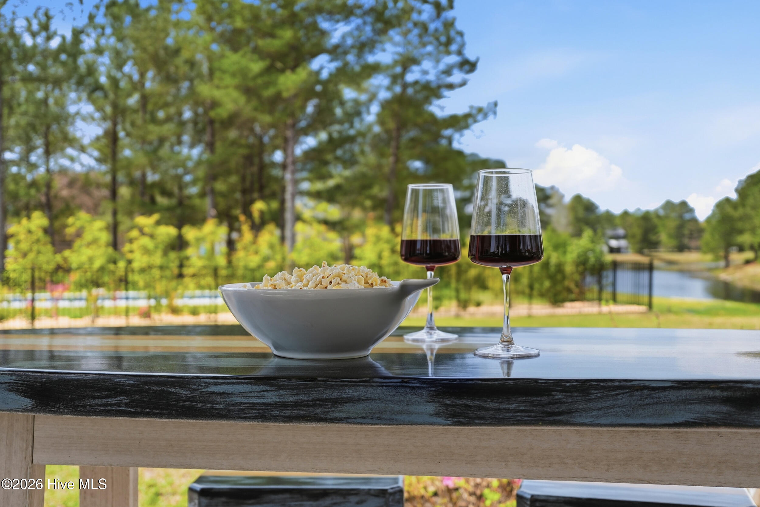 100563980 | Photo 37