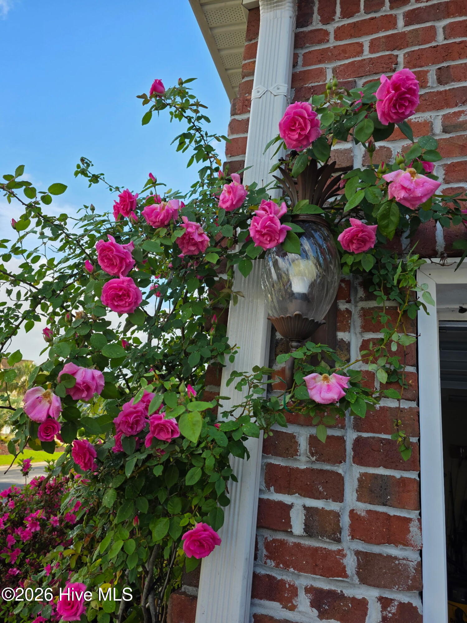 100555309 | Photo 39