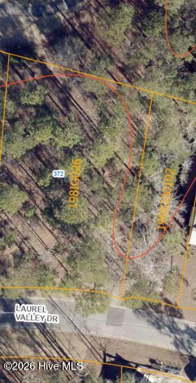 100568457 | Photo 10