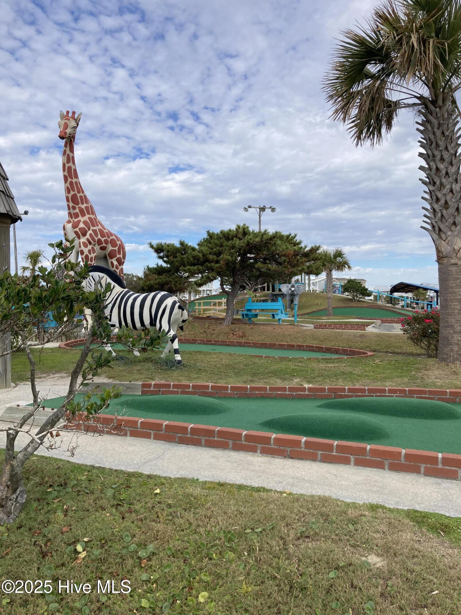 100546057 | Photo 32