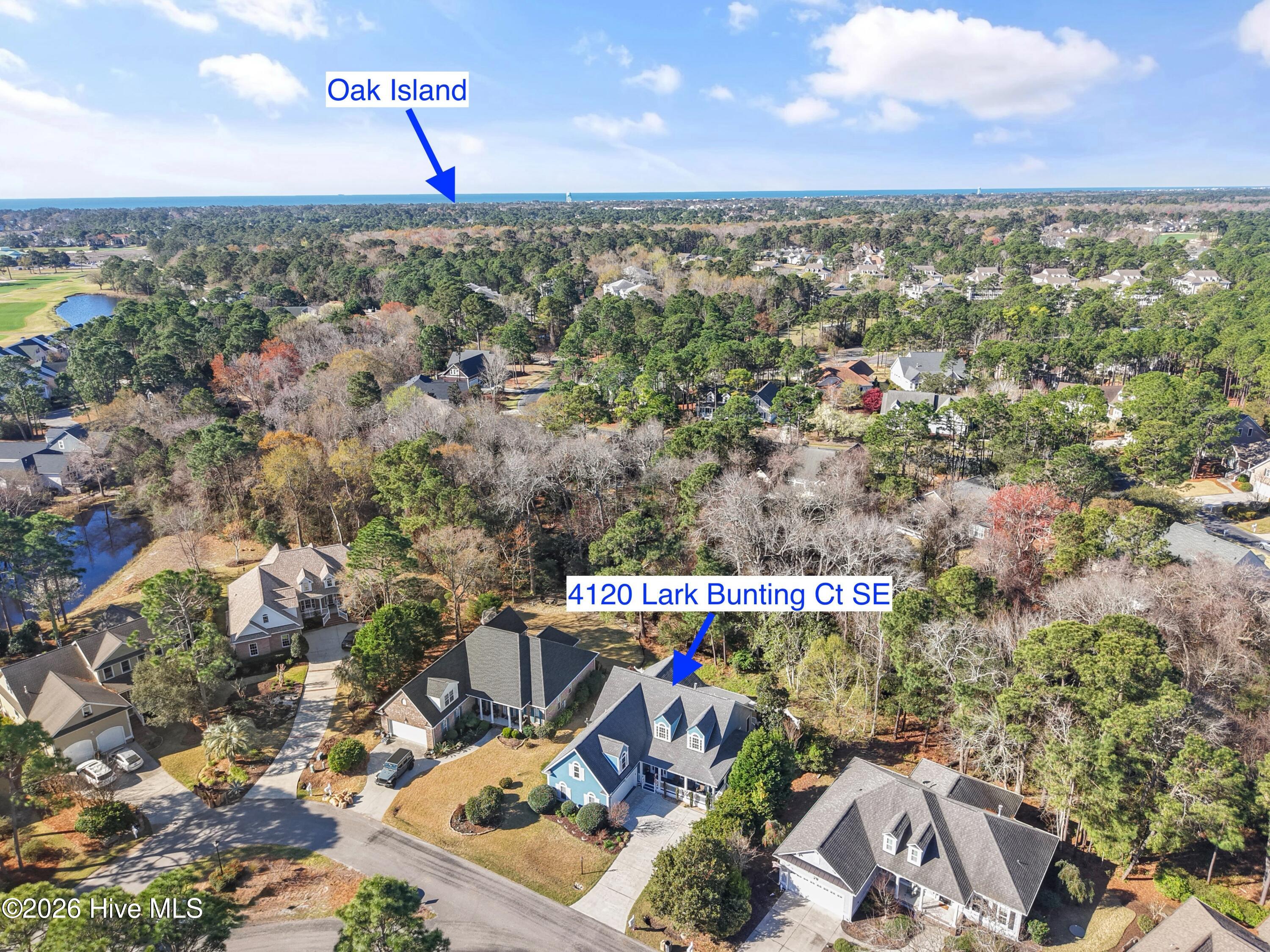 100561490 | Photo 52