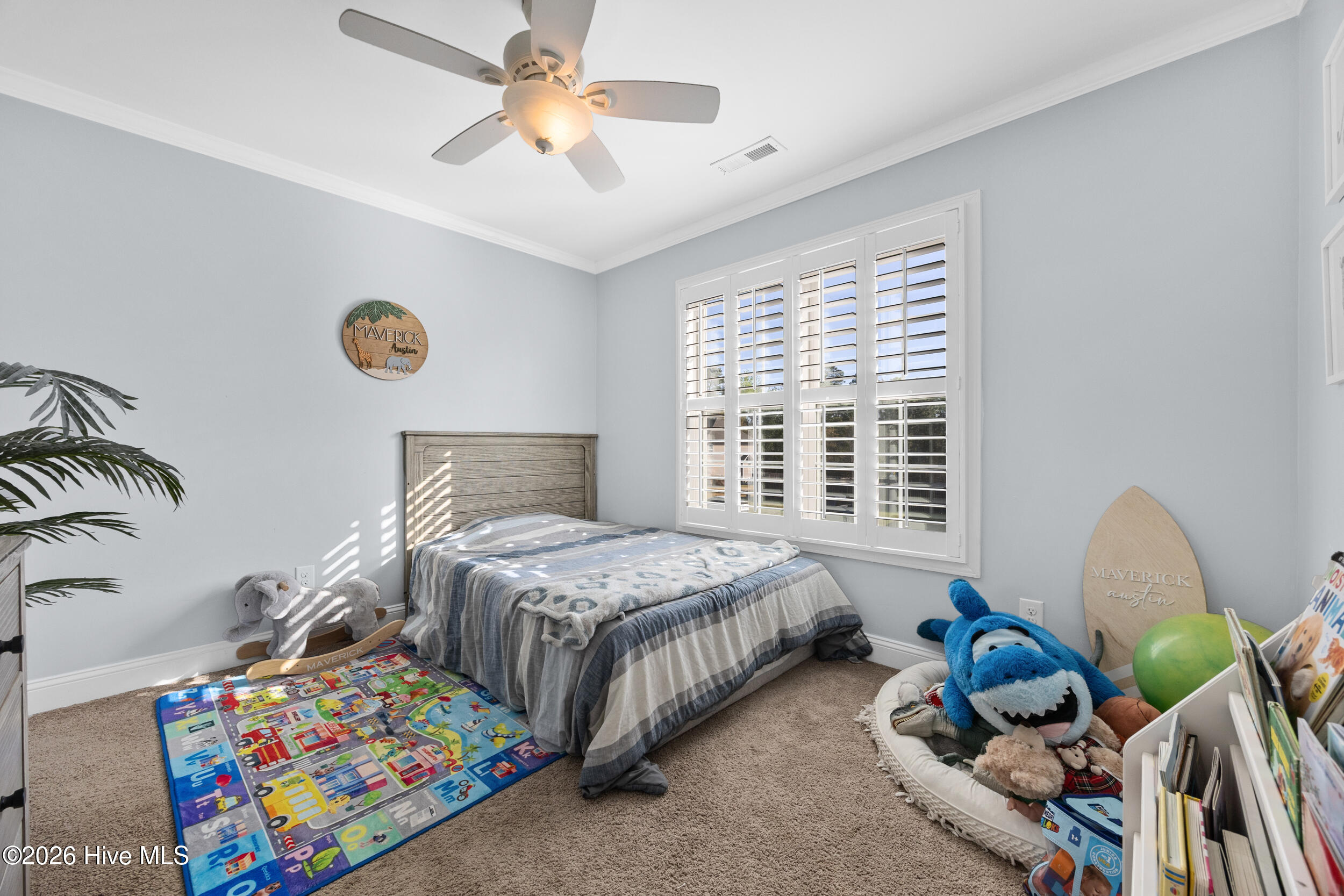 100564853 | Photo 30