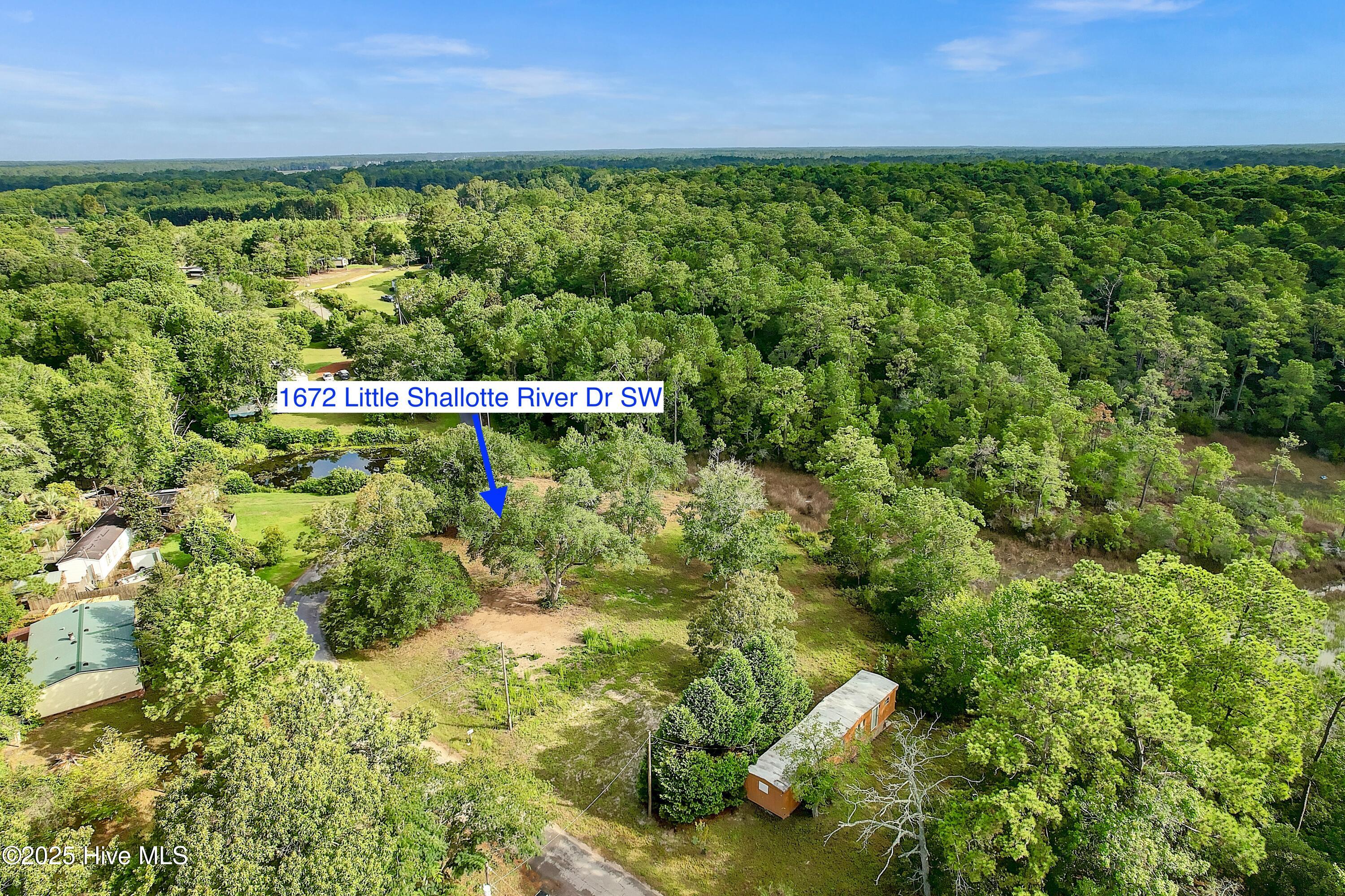 100521467 | Photo 18