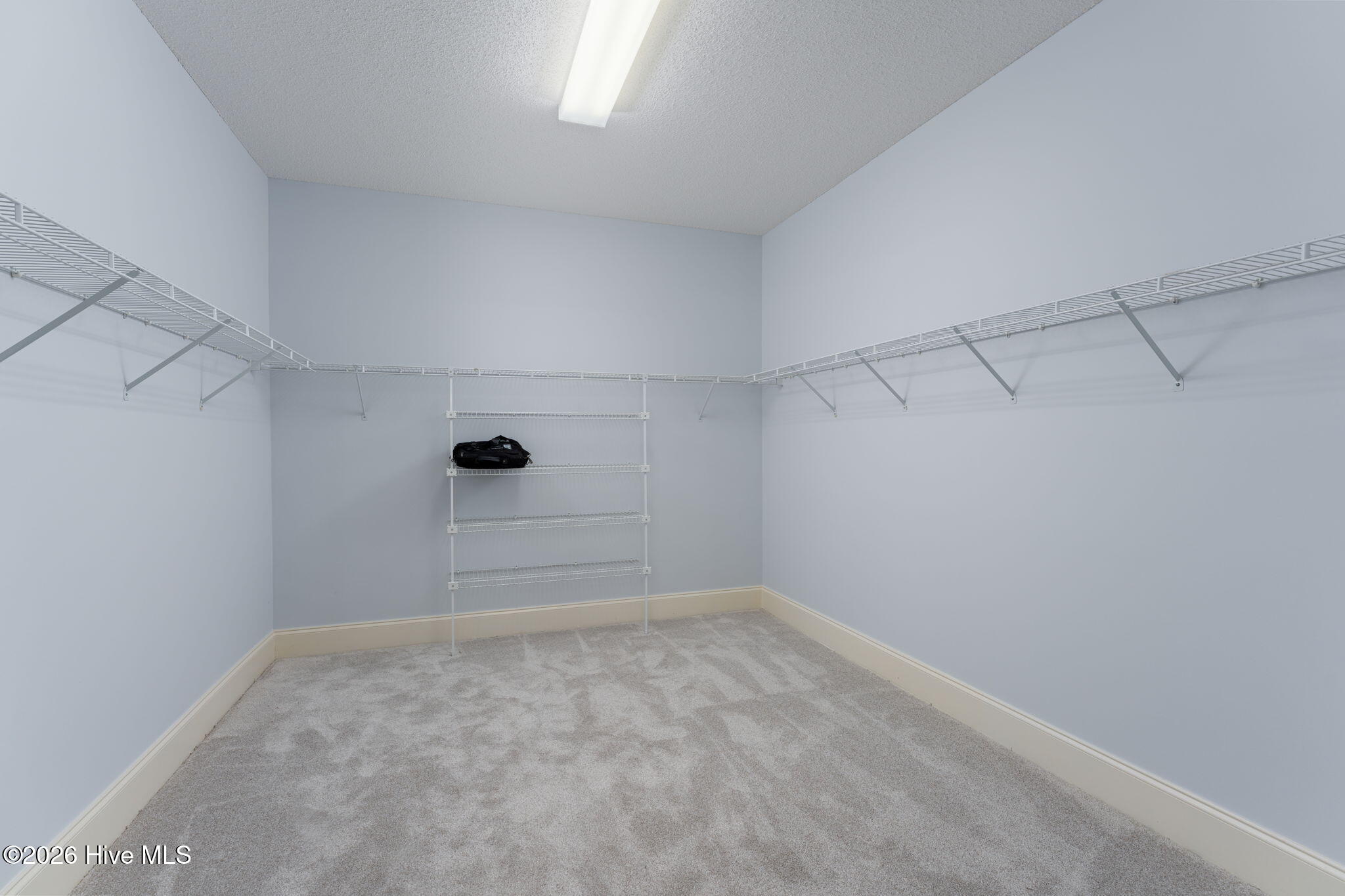 100552056 | Photo 31